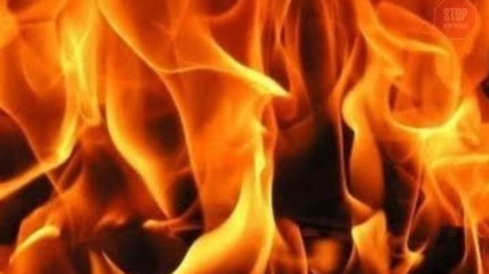 На Кіровоградщині під час гасіння пожежі в будинку вогнеборці врятували чоловіка (фото)