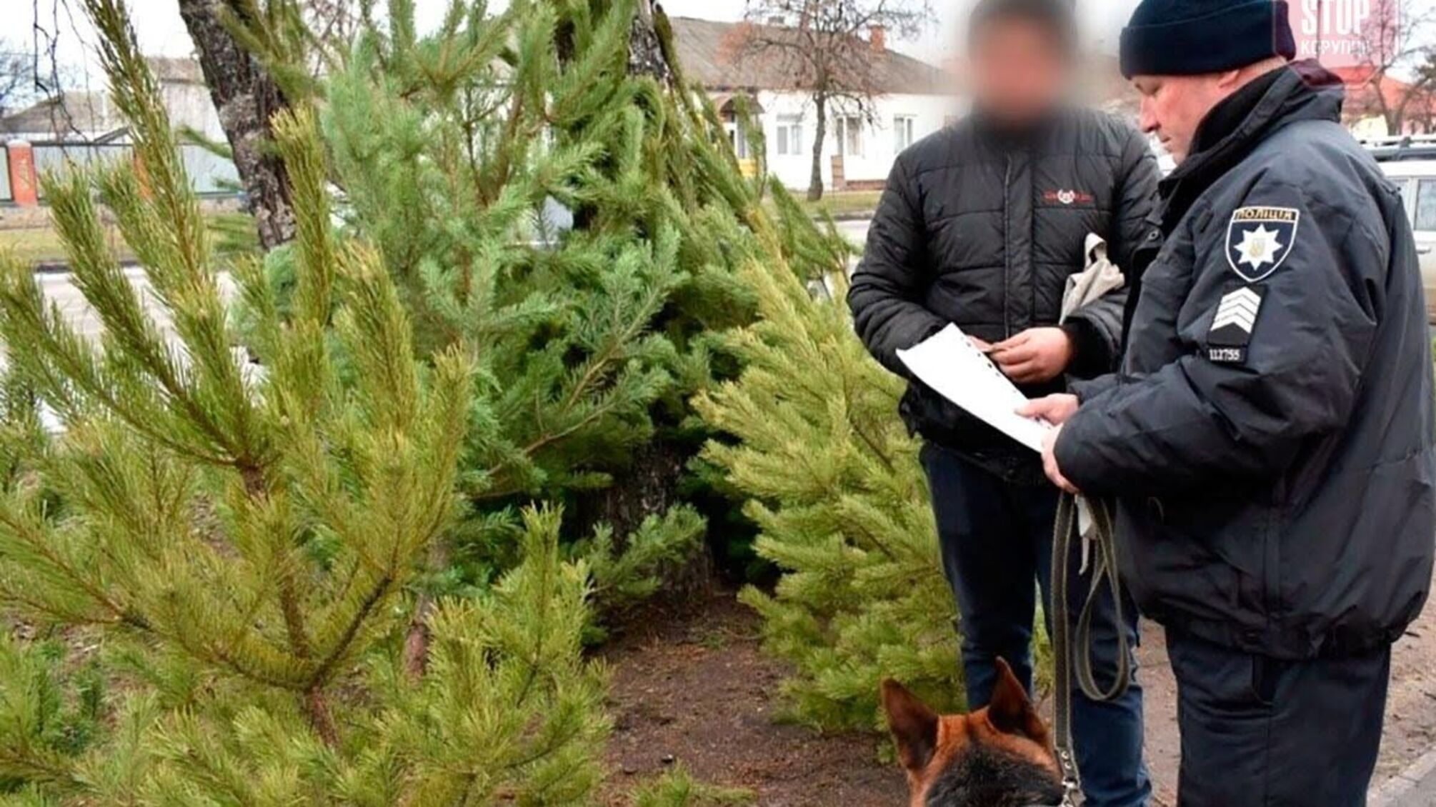На Полтавщині триває сезон «ялинкових» рейдів – поліція перевіряє стихійні ринки