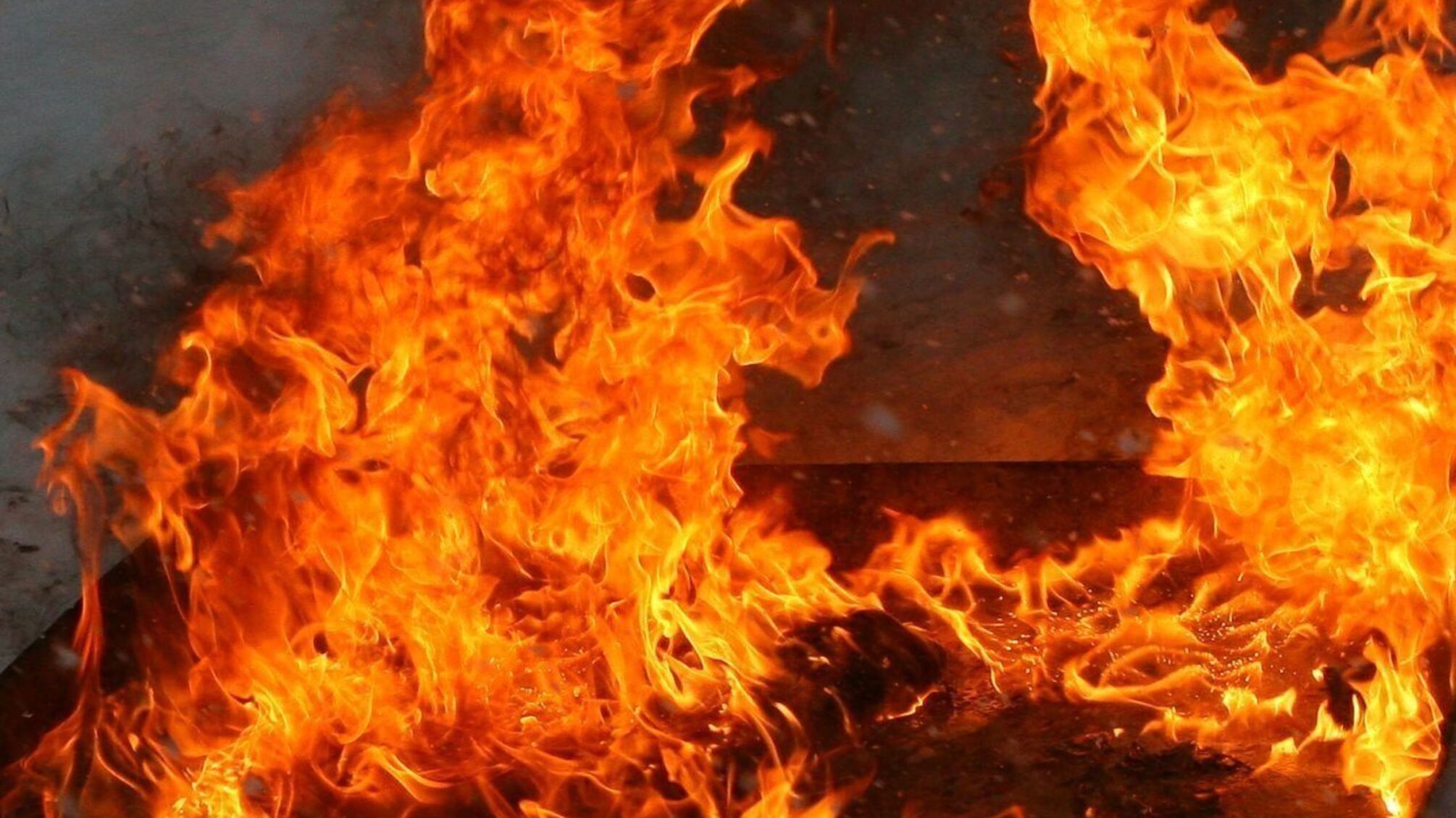 У зоні відчуження сталася масштабна пожежа