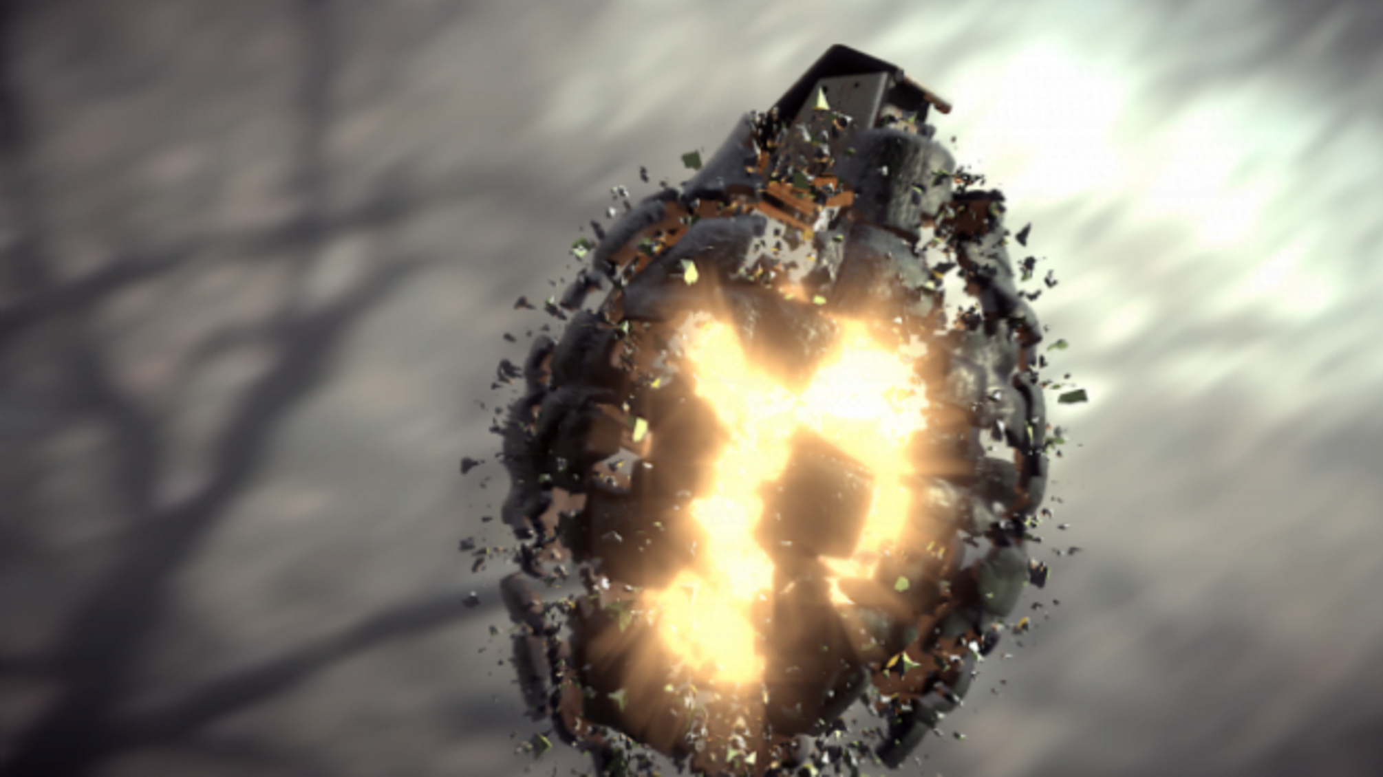 Вибухові пристрасті – на подвір'я колишнього власника скандального агропідприємства кинули гранату (ФОТО)