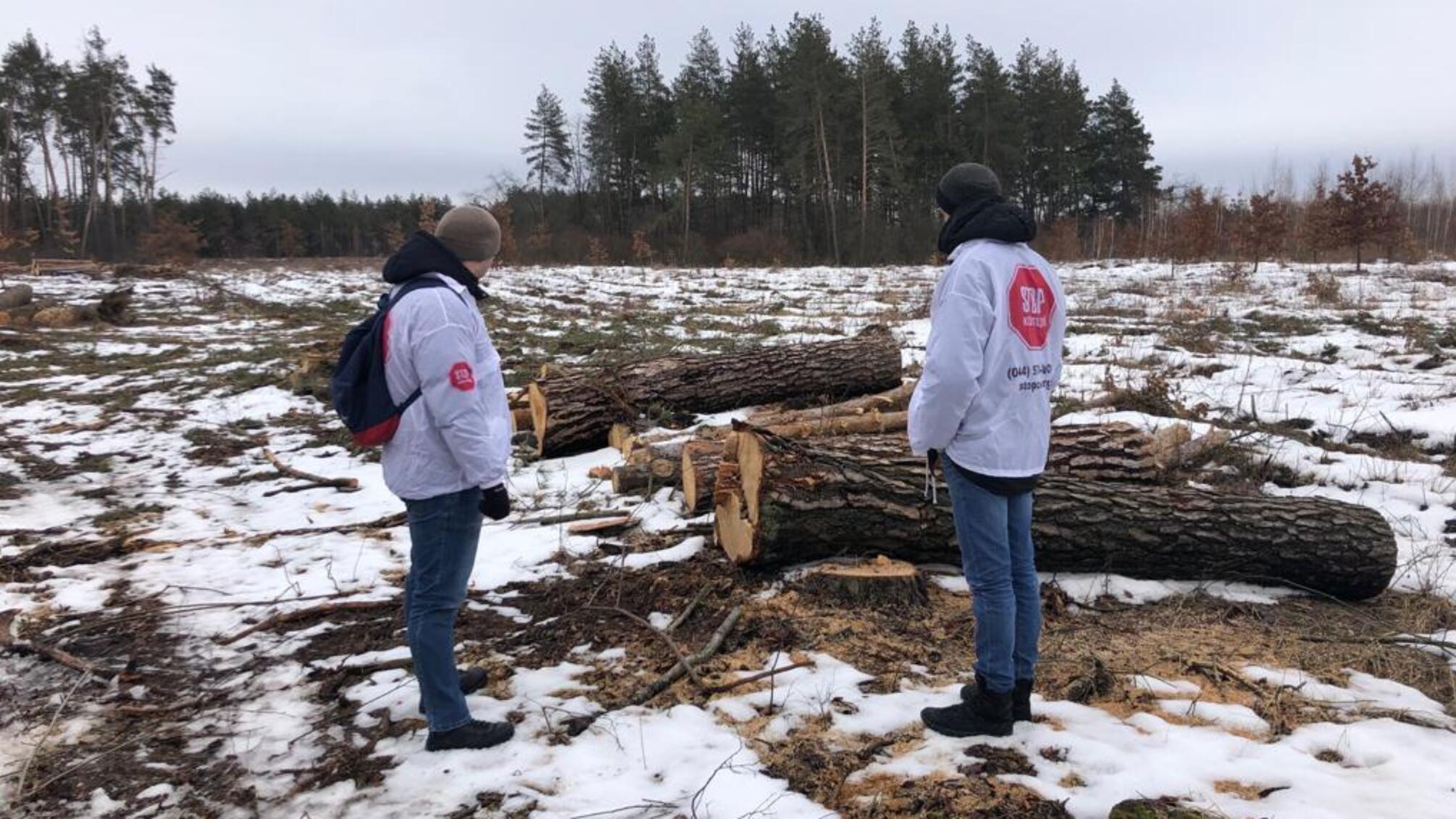 Ліс рубають – друзки летять: під Києвом викрили незаконний склад деревини
