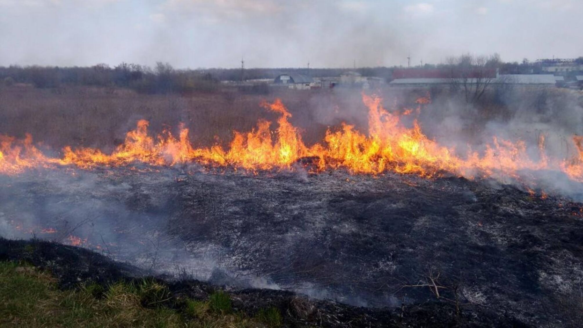 На Буковині пенсіонер впав у вогнище, спалюючи сухе листя
