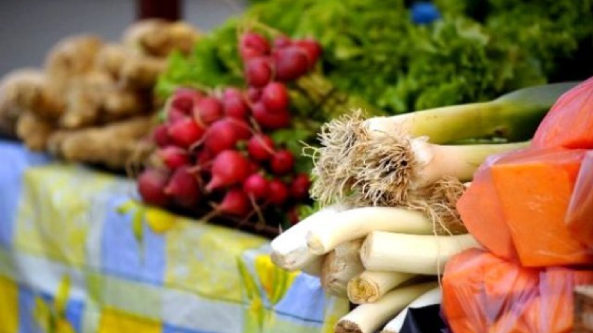 Експерти назвали регіони з найдорожчими й найдешевшими овочами в Україні