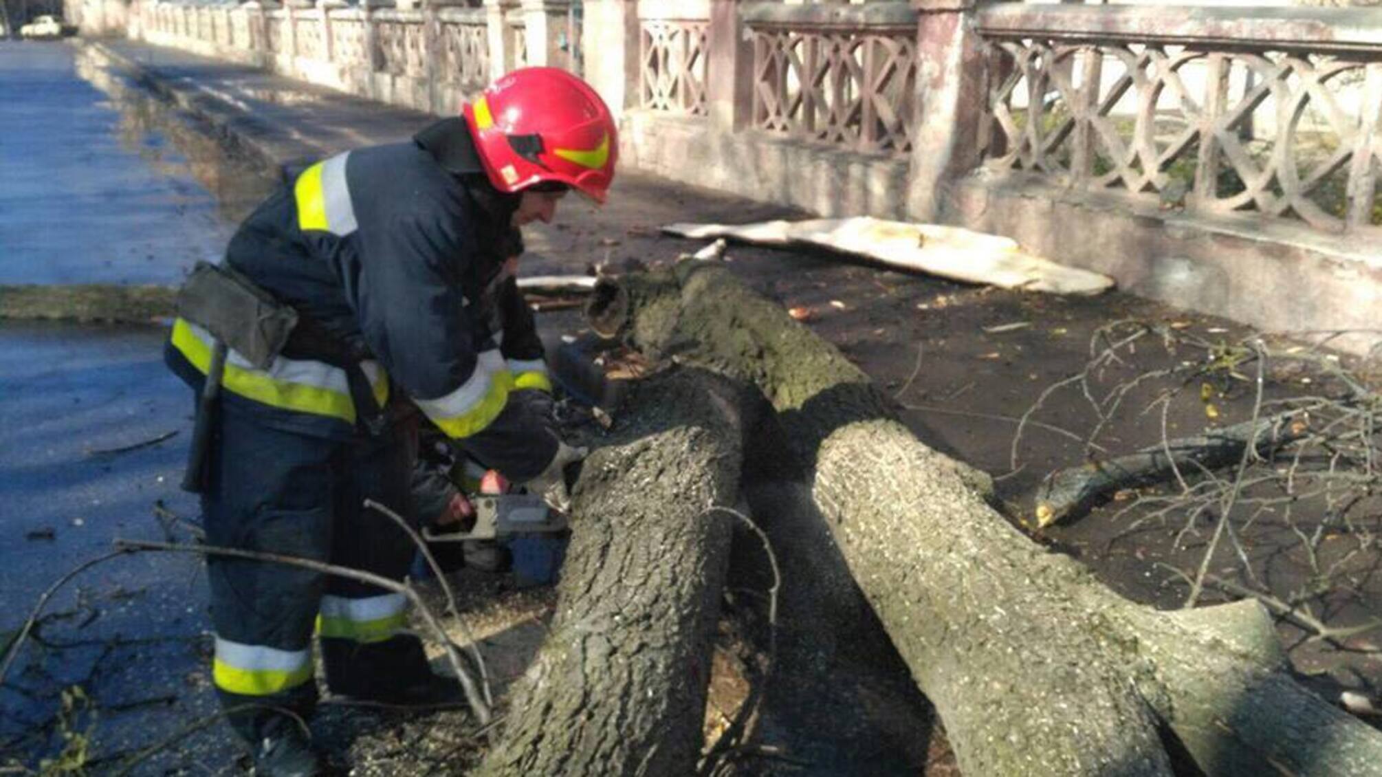 Наслідки негоди: у Вінниці дерево вбило 11-річну дитину