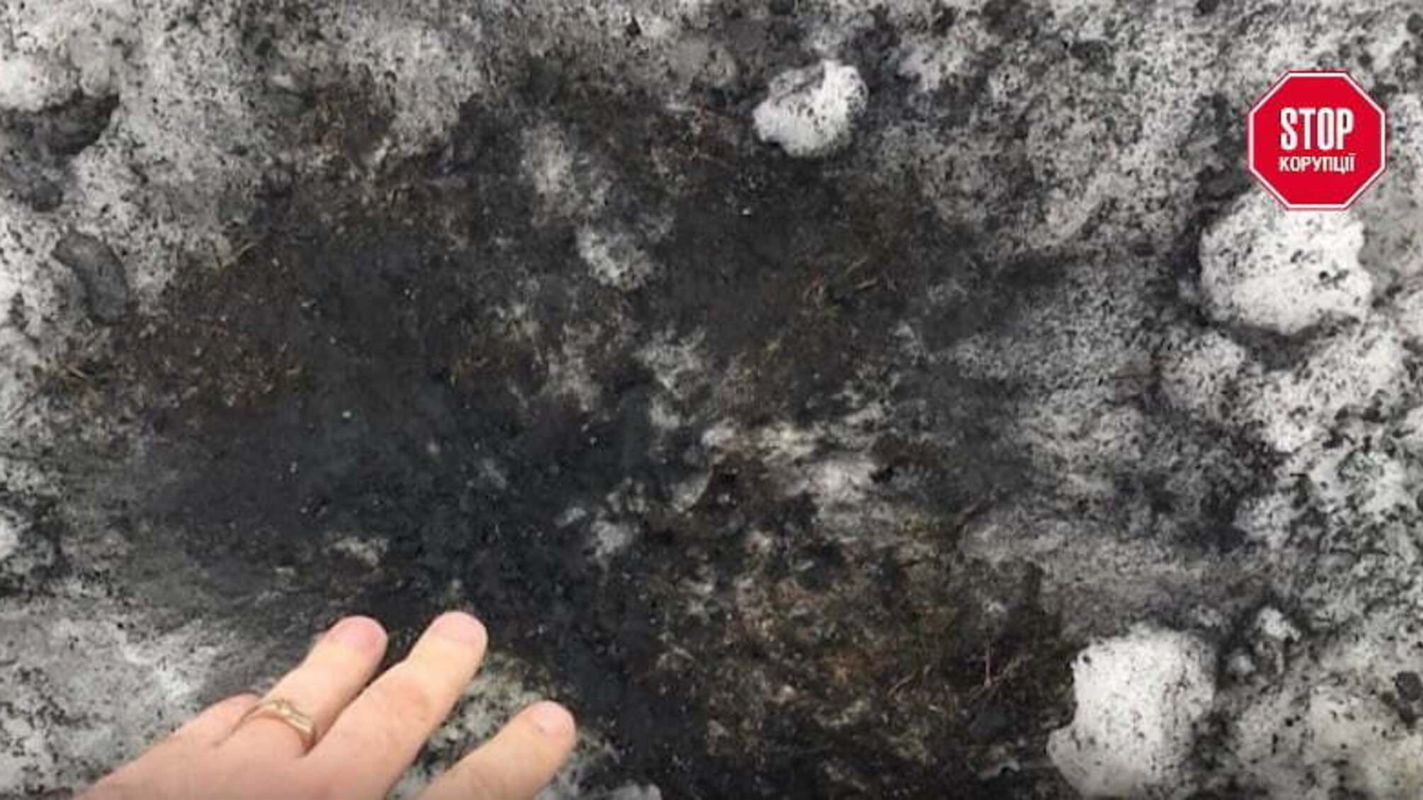 Від «липи» до «лимонки» - поплічники агрорейдерки Камінської не гребують брудними методами