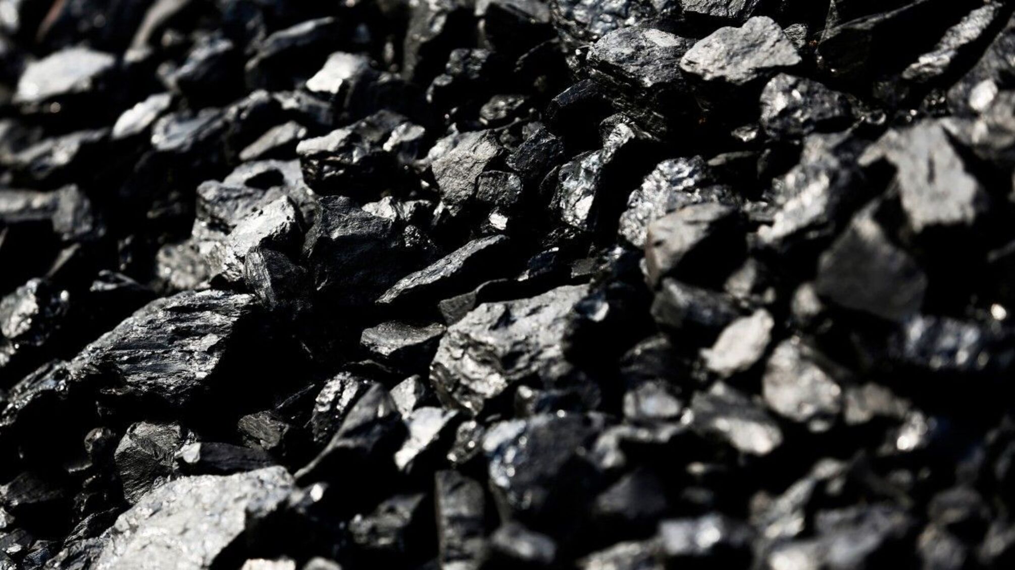 “Віце-прем’єром ДНР” обрали Пашкова, який без сплати податків в “держказну” вивозить тисячі тонн українського вугілля