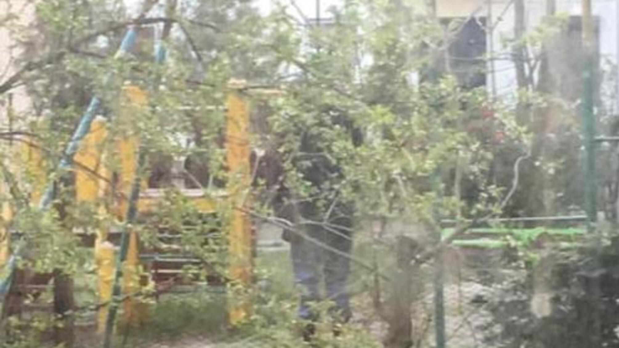 Повісився на гойдалці – у Львові іноземець вчинив самогубство на дитмайданчику