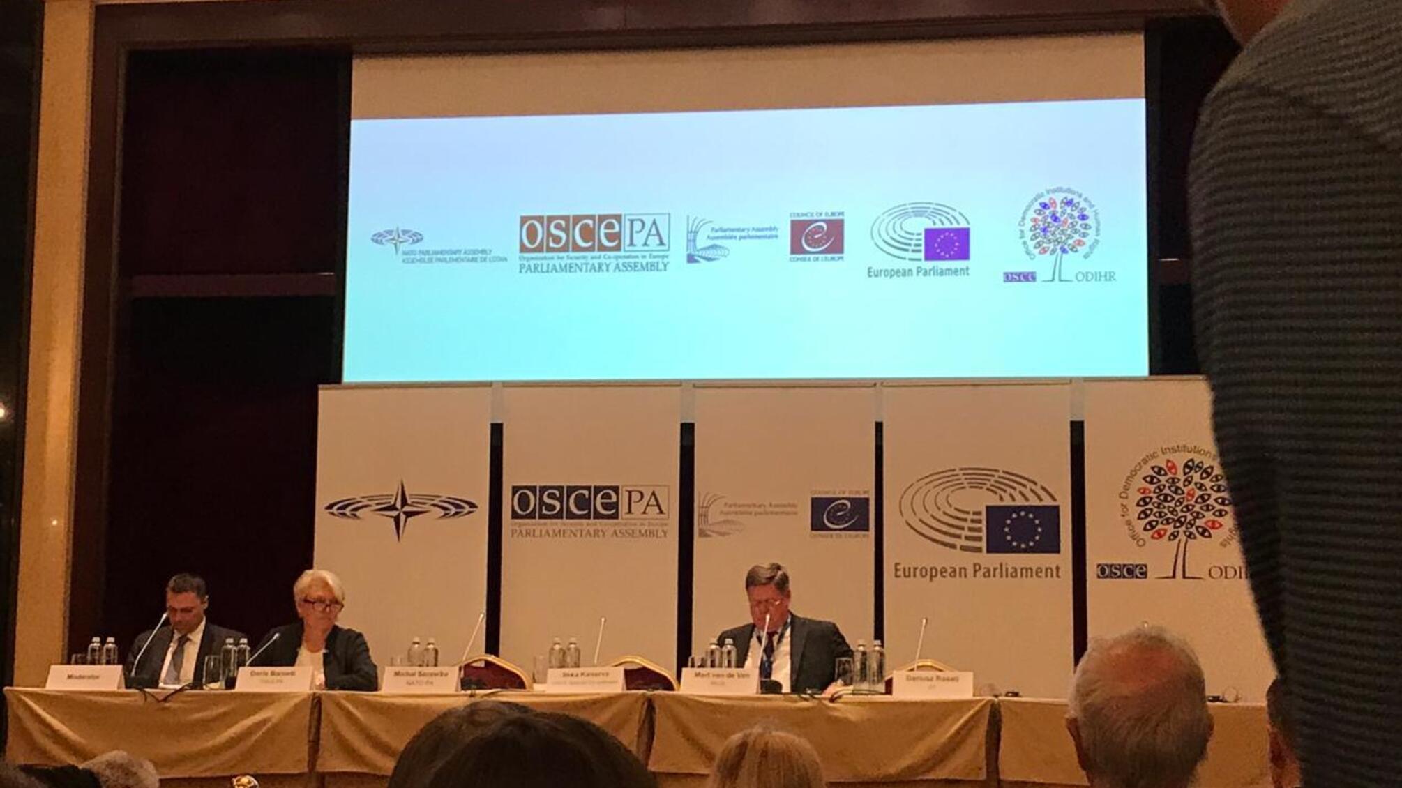 'Україна ефективно провела вибори навіть попри тиск Росії' – голова делегації ЄП Даріуш Розаті