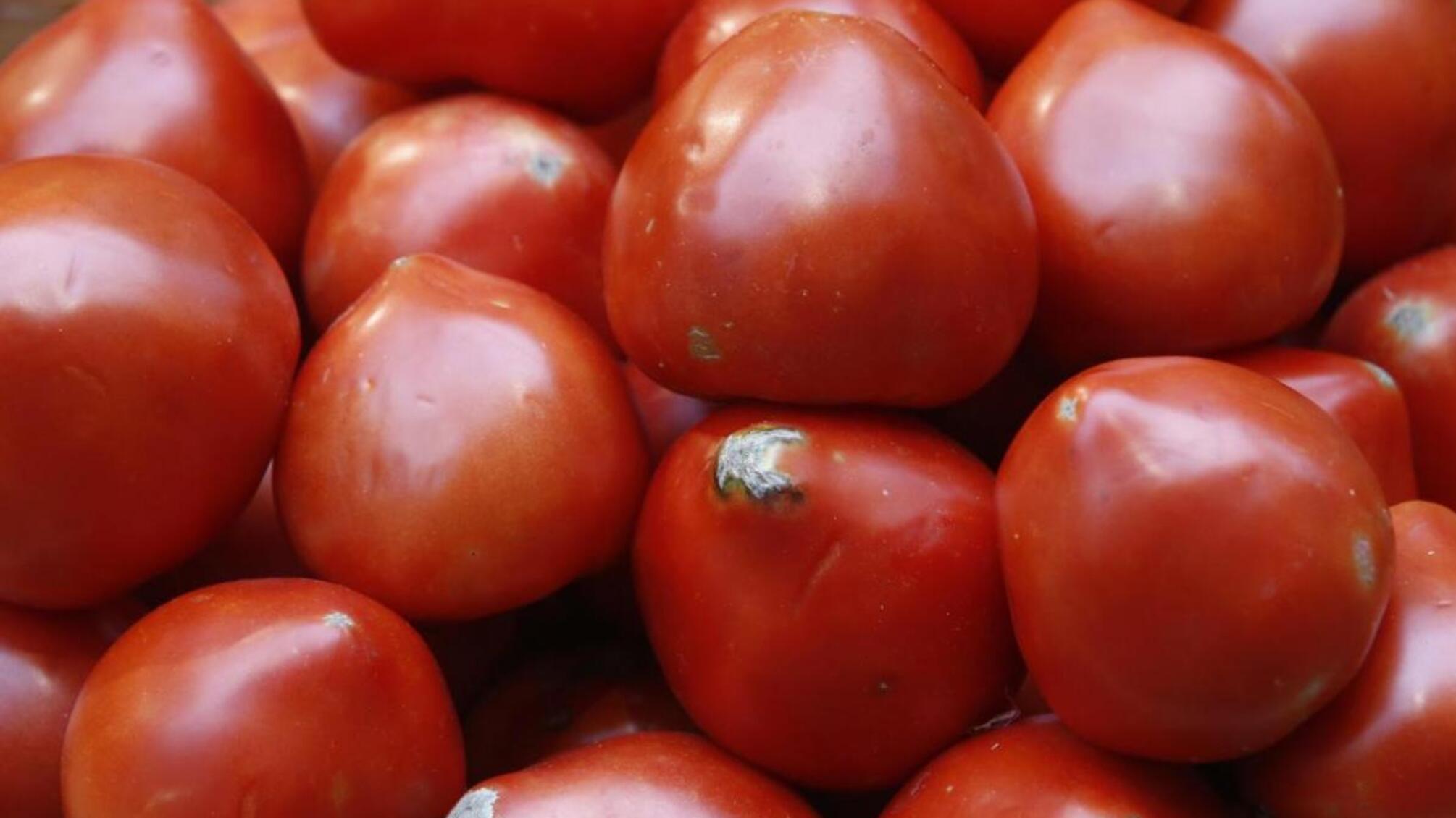 Втрата врожаю до 100% – в Одесу завезли 20 тонн заражених помідорів