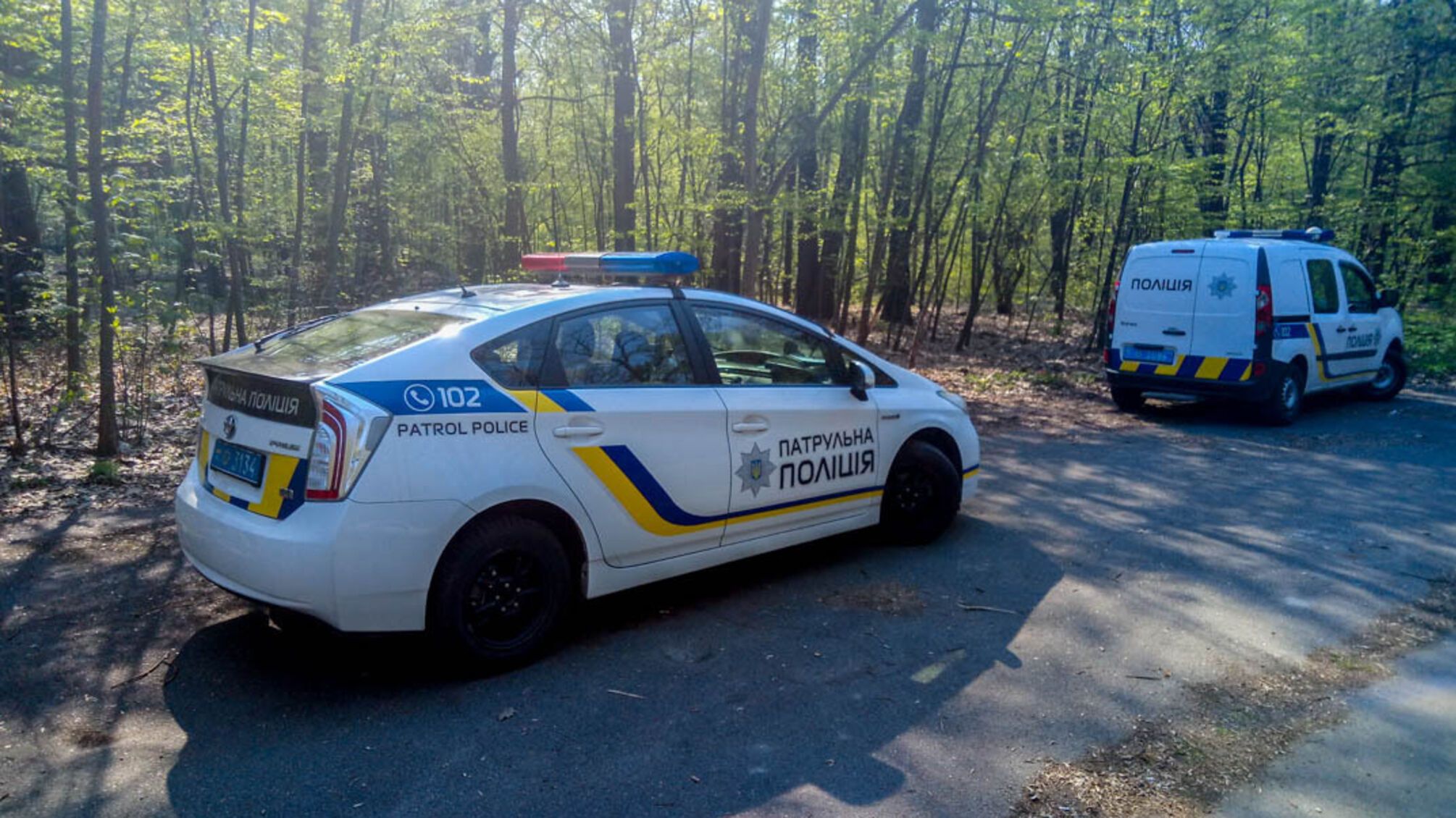 Висів на гілці дерева – у Києві на ВДНГ знайшли хлопця-самогубцю (ФОТО 18+)