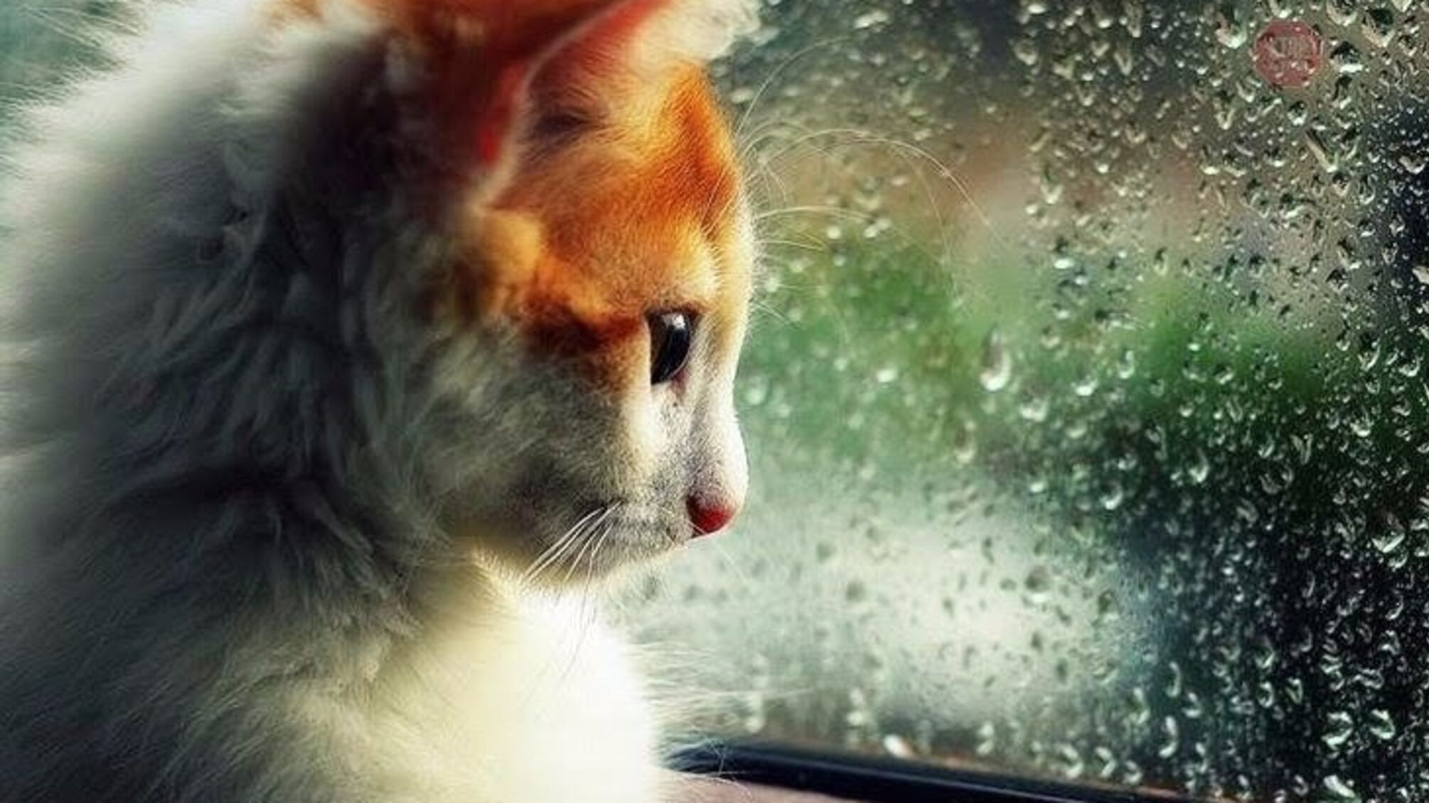 Синоптики спрогнозували погоду в Україні на найближчі кілька днів