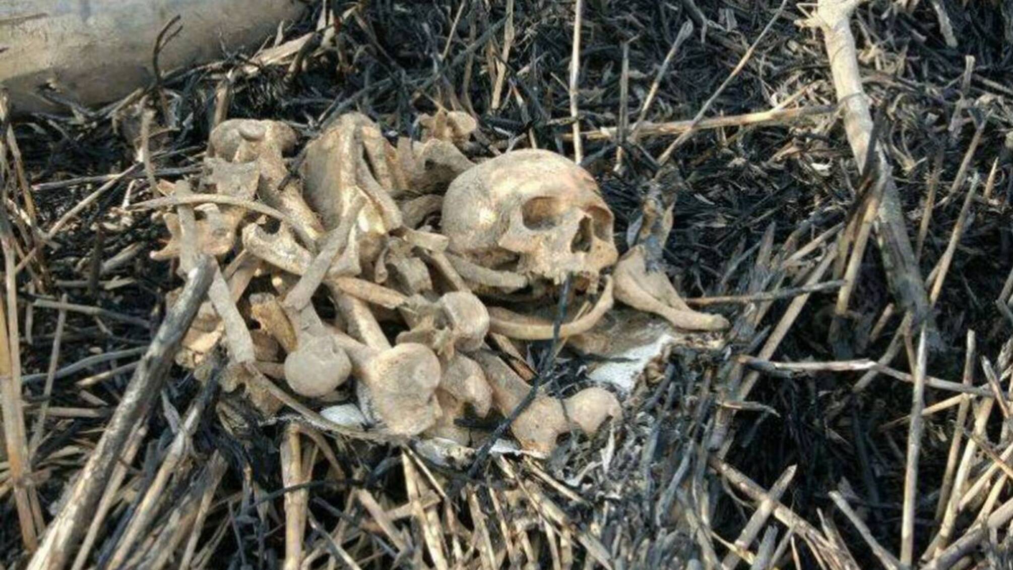 Людські кістки й одяг – на березі річки на Вінниччині натрапили на страшну знахідку