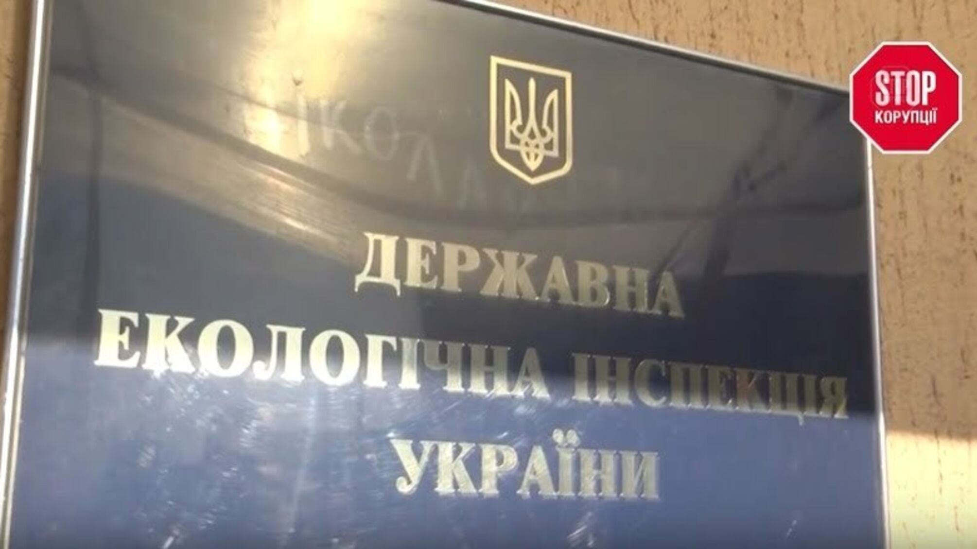 Купив диплом – і в держслужбовці: як отримати «хлібне місце» в еко-інспекції