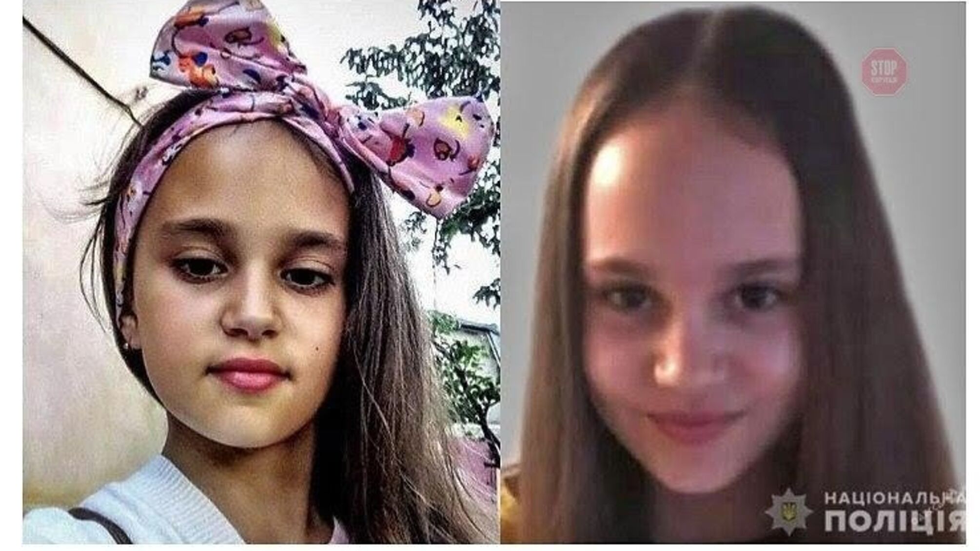 'Спочатку душив, а потім роздягнув', – підозрюваний у вбивстві Дар'ї Лук'яненко розповів поліцейським подробиці страшного злочину