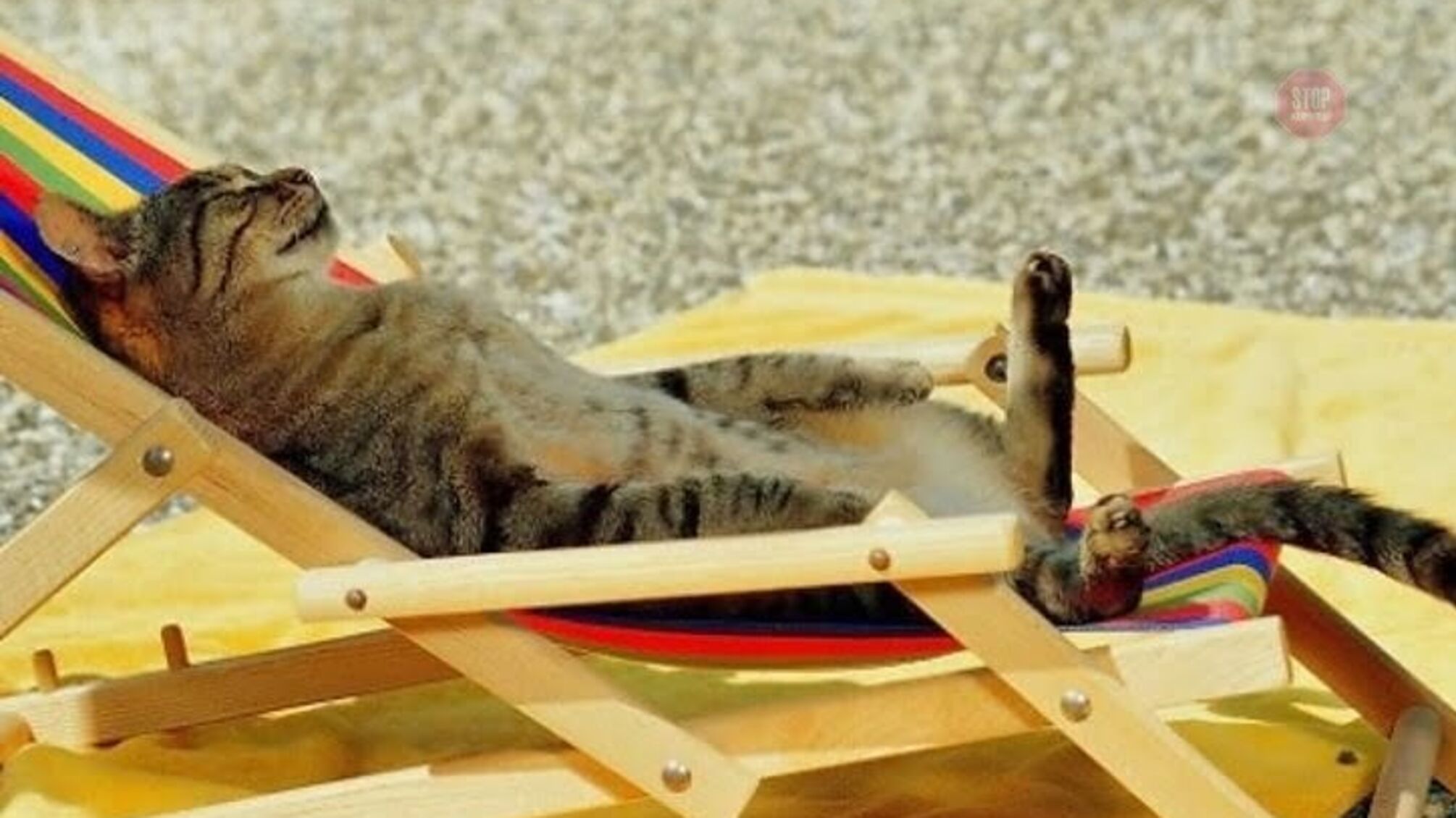 Пекельна спека 'атакує' Україну: відомі синоптики дали прогноз на липень – чого чекати