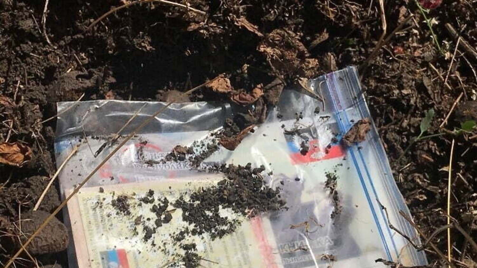 Блогер з Донецька розповів про дивну 'традицію' жителів 'ДНР' на КПП