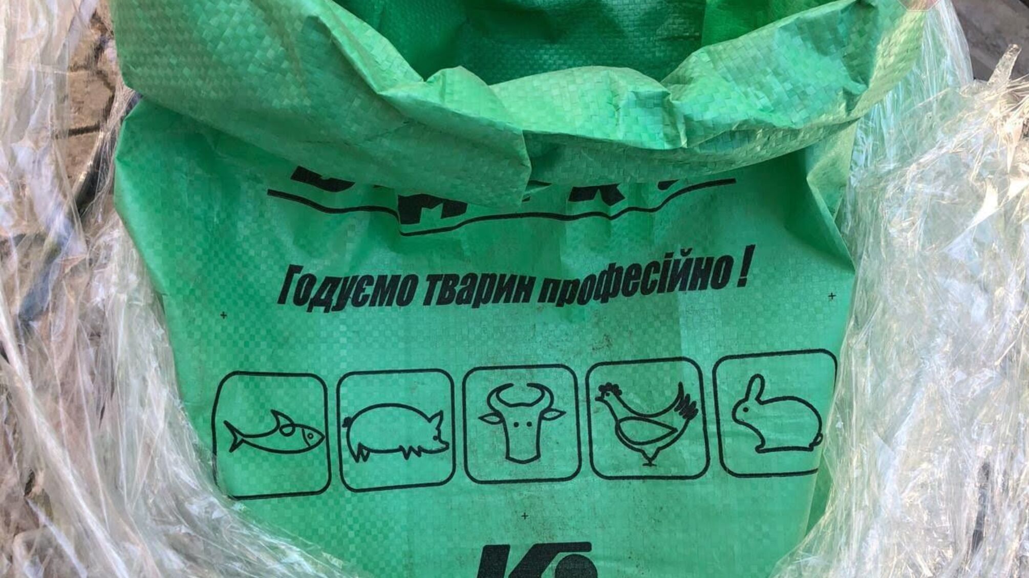 У Дніпрі закидали намет активістів мішками із піском... для тварин: так невідомі перешкоджають акції протесту під ГУ ДФС