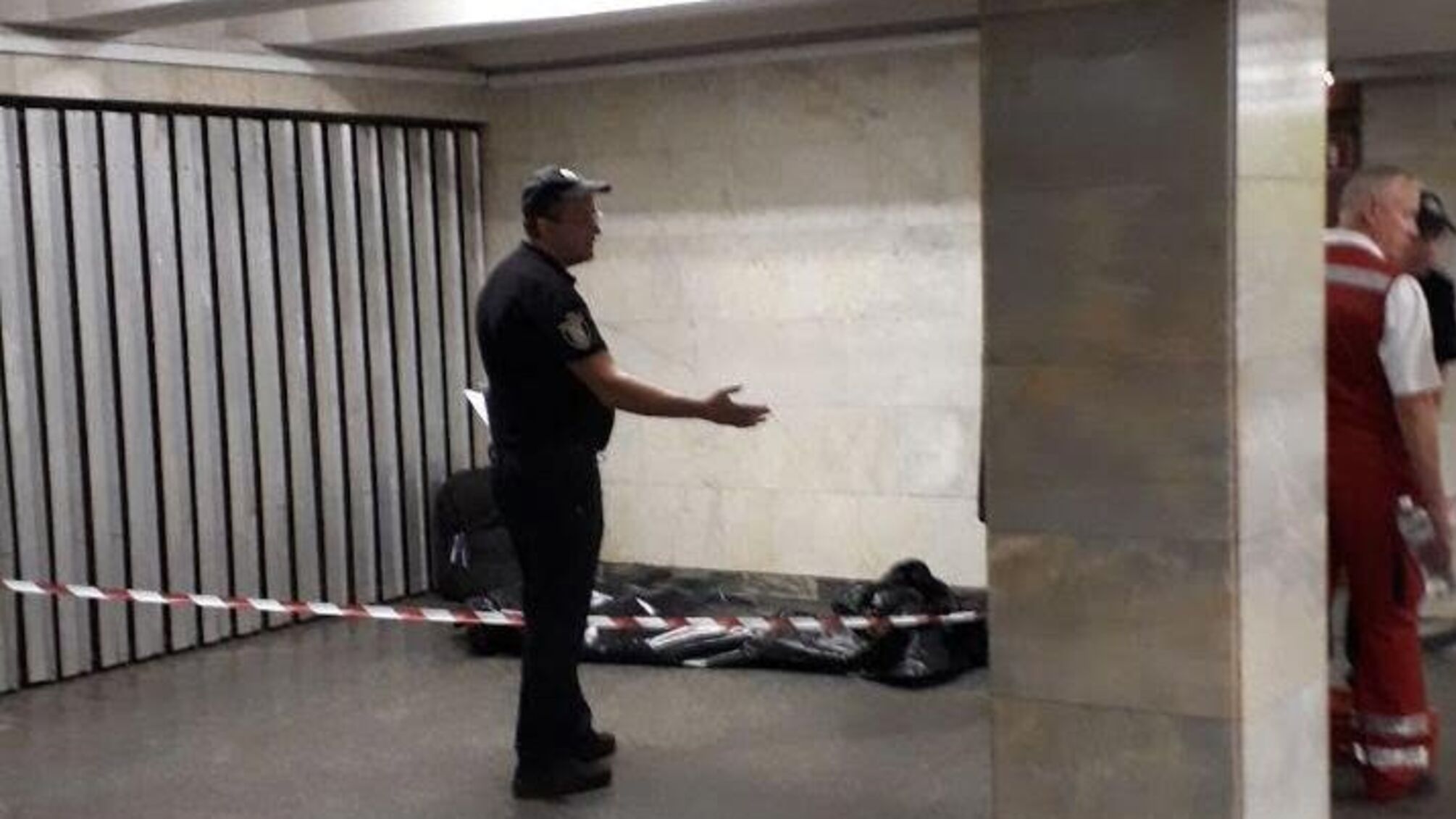 У столиці під потягом метро загинула жінка (ФОТО)