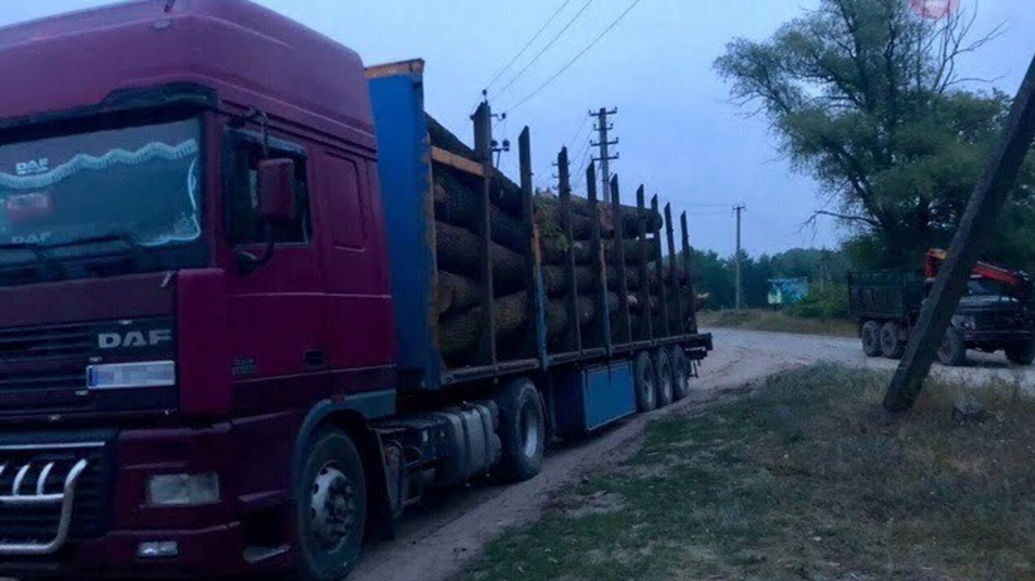 На Харківщині СБУ блокувала розкрадання дуба з державних лісництв (ФОТО, ВІДЕО)