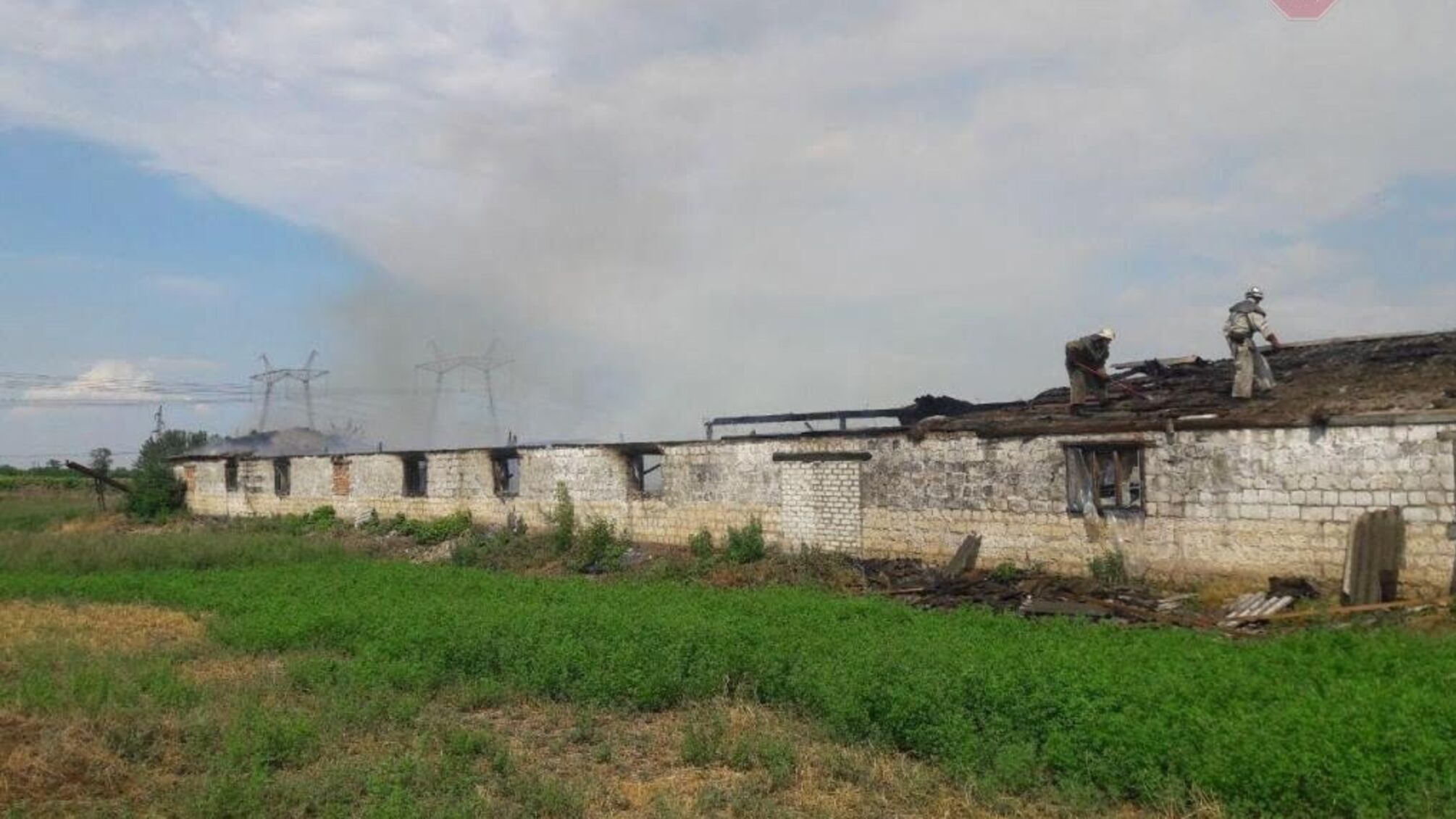 На Запоріжжі вогнеборці під час пожежі врятували 72 свиней (ФОТО)