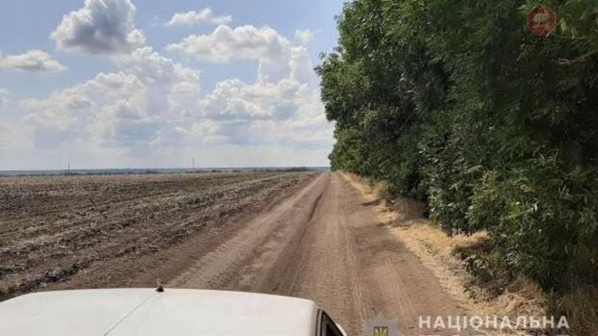 На Дніпропетровщині чоловік жорстоко вбив свою 19-річну знайому (ФОТО)
