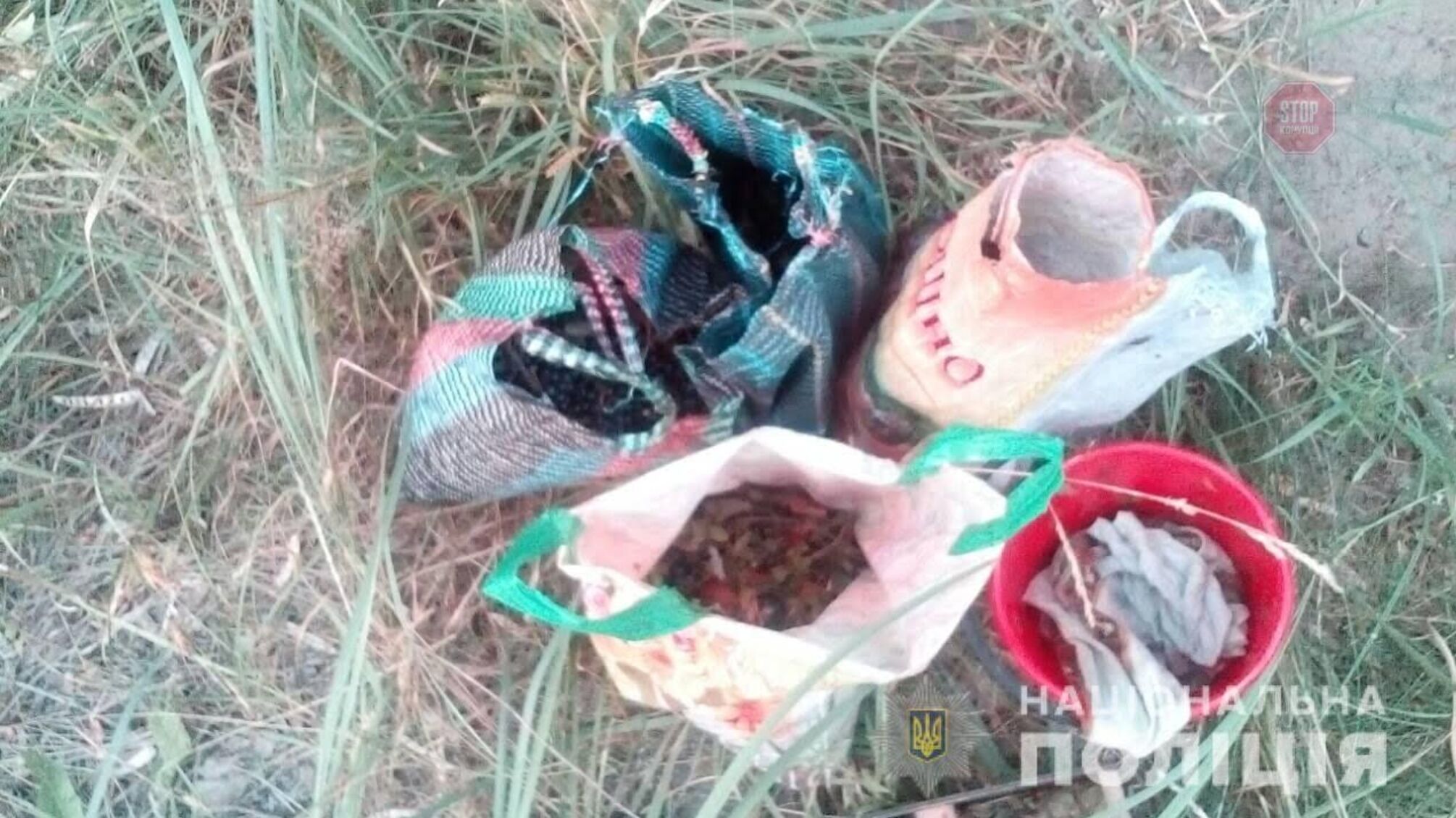 У зоні ЧАЕС поліція затримала жінку, яка збирала чорницю на продаж (ФОТО)