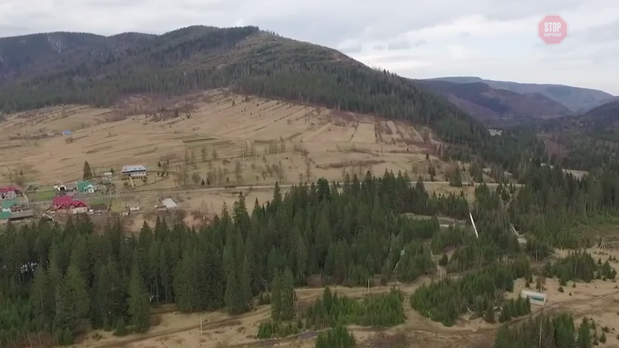 НЕперевірені мажоритарники: на Закарпатті від «Cлуги народу» до ВРУ балотується розкрадач лісів