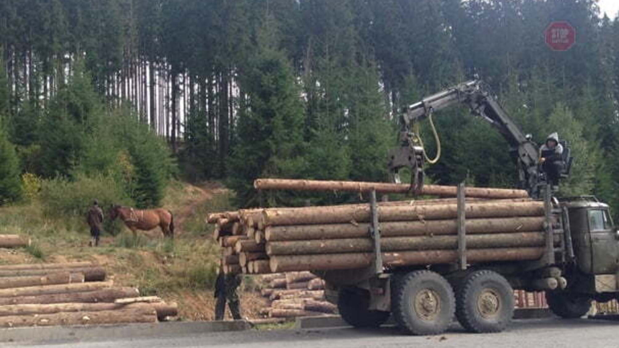 На Закарпатті автомобіль перекинувся в річку, є жертви