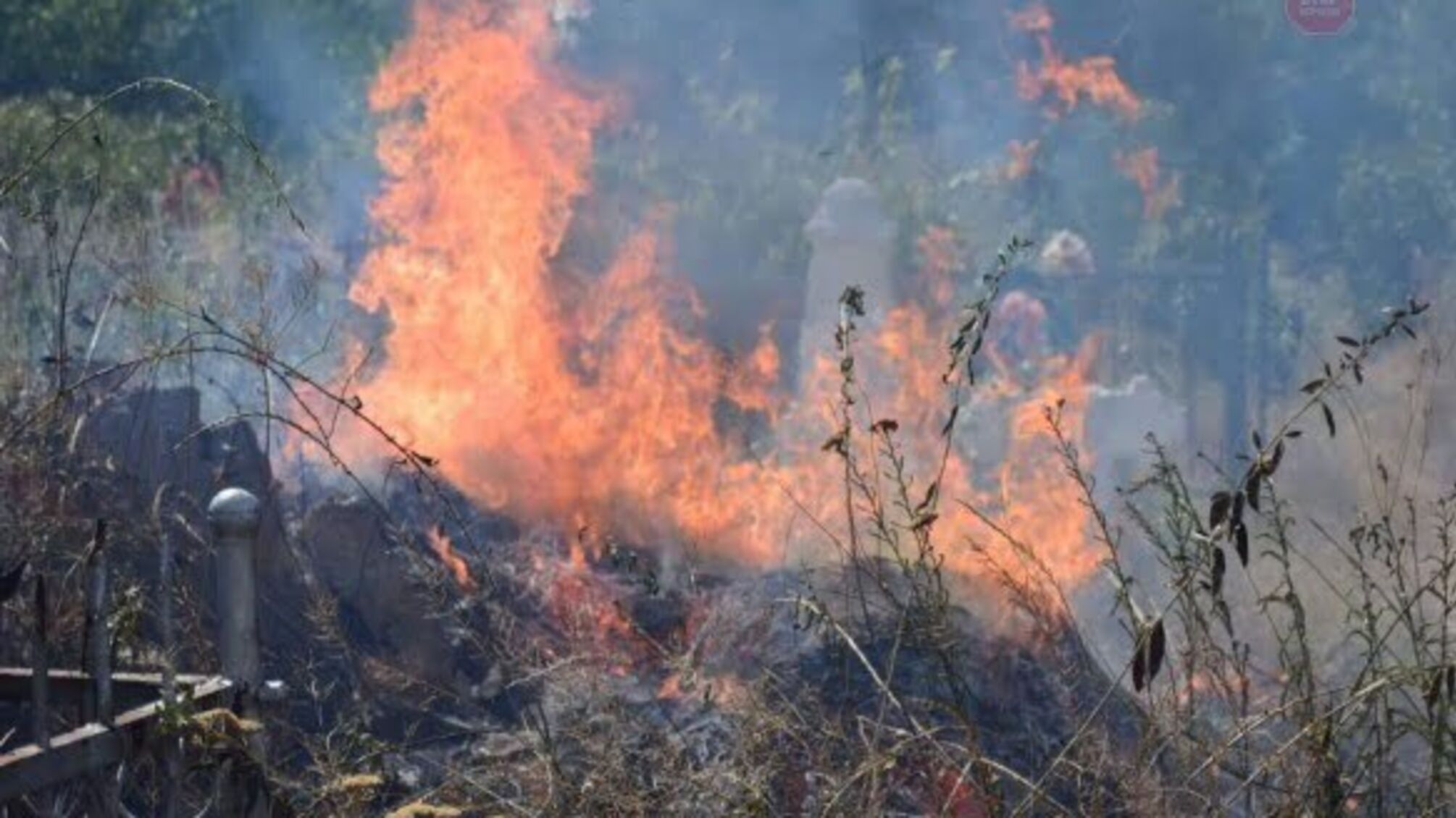 В Миколаєві ліквідували пожежу на кладовищі