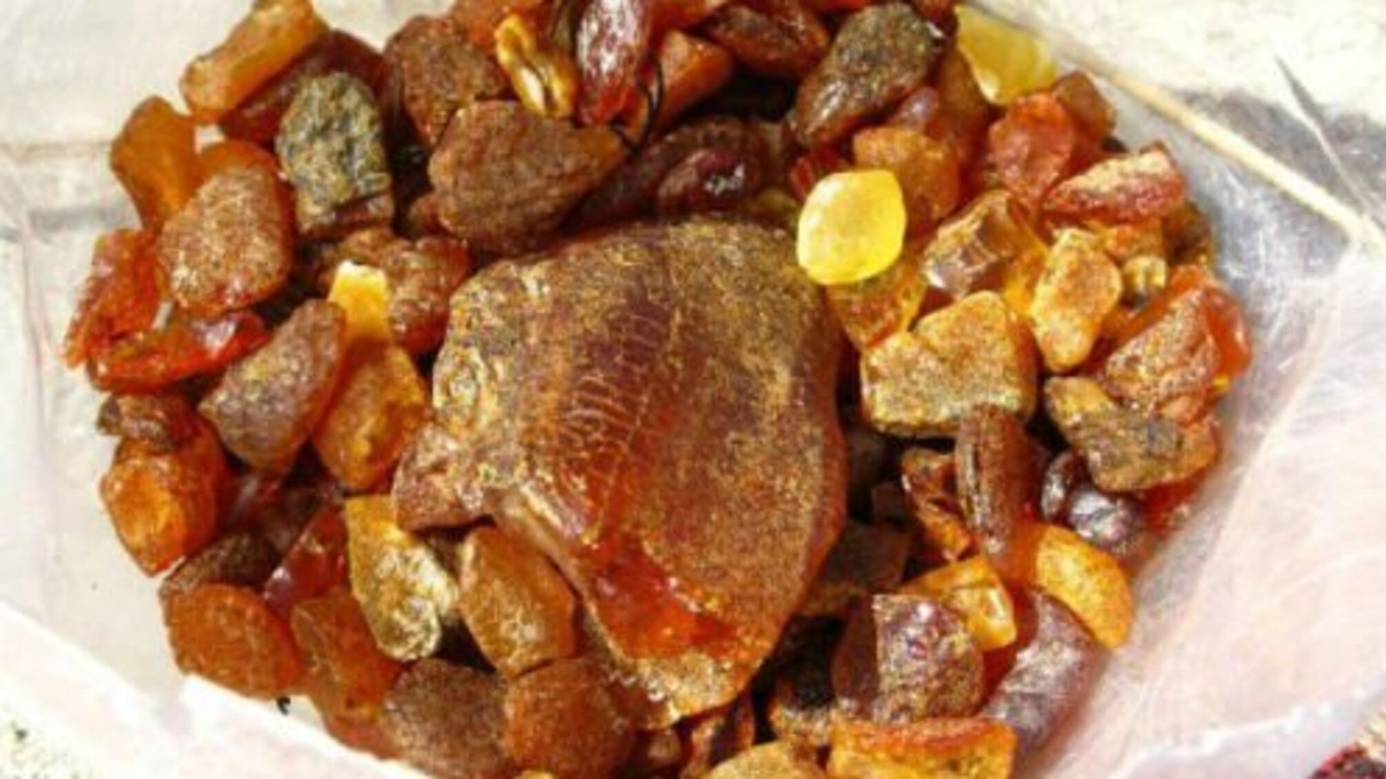 Крапки над 'і' чи кришування браконьєрів: чому гальмують легалізацію бурштинового промислу?