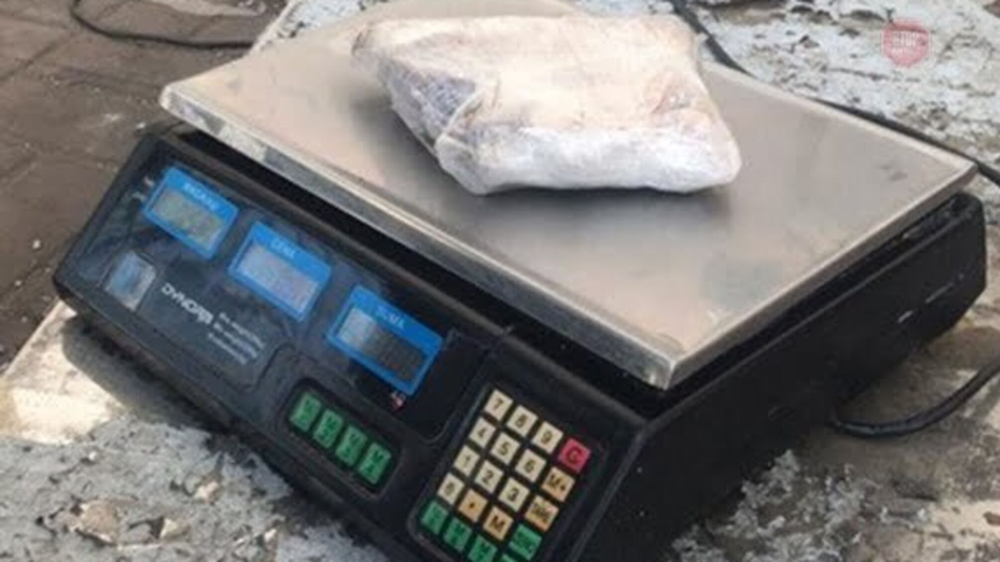 Мешканець Дніпропетровщини налагодив контрабанду кокаїну із Західної Європи (фото)