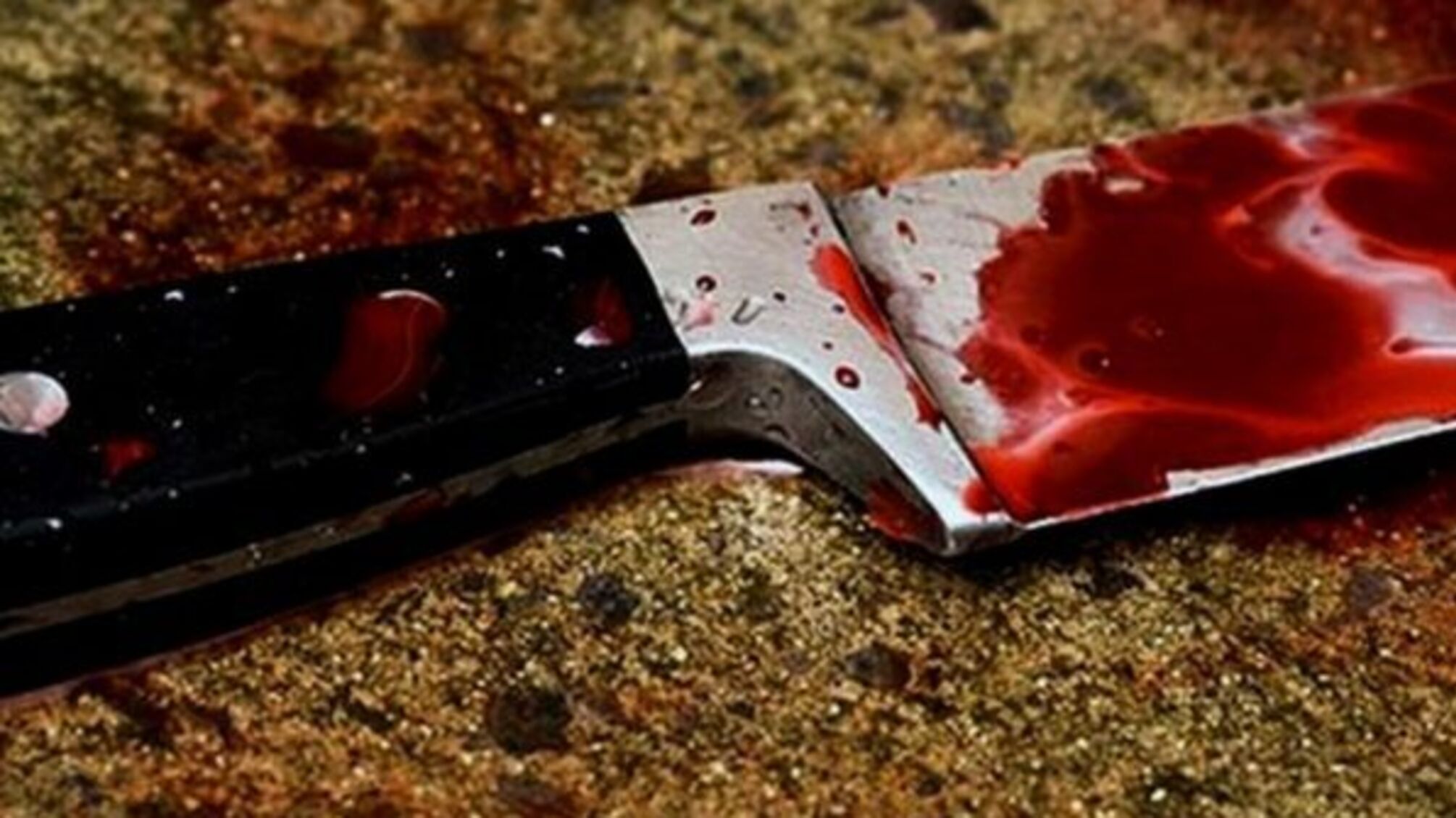 Побутовий конфлікт закінчився різаниною: на Львівщині п'яний чоловік вбив свою дружину