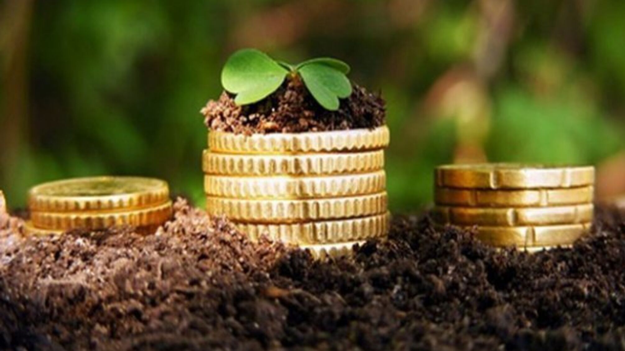 Операція 'приватизація': МінАПК за копійки віддає майно 'потрібним' людям?