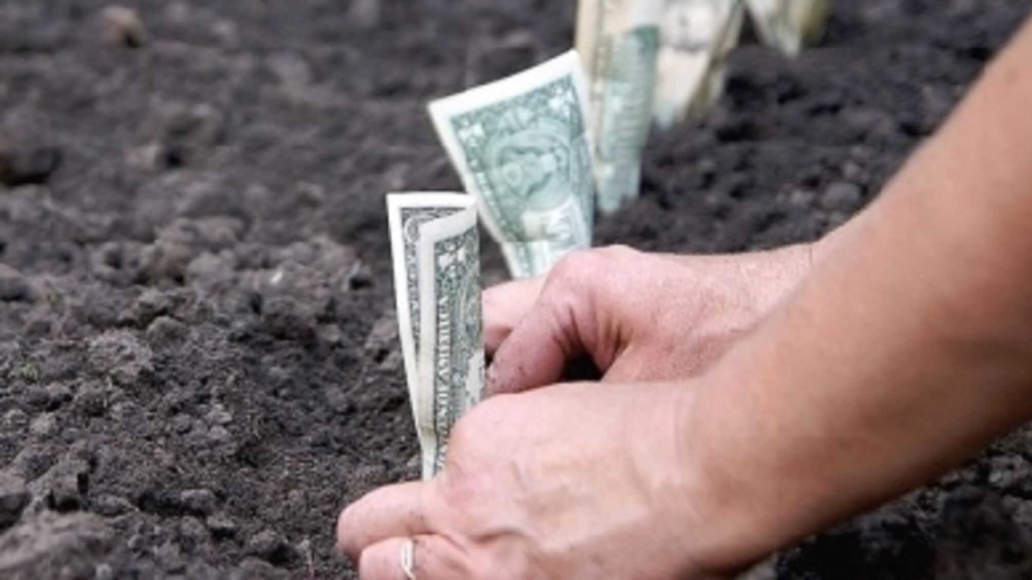 Закинули вудку в земляну будку: на Житомирщині аграрії два роки без сплати в бюджет використовували 1900 га територій