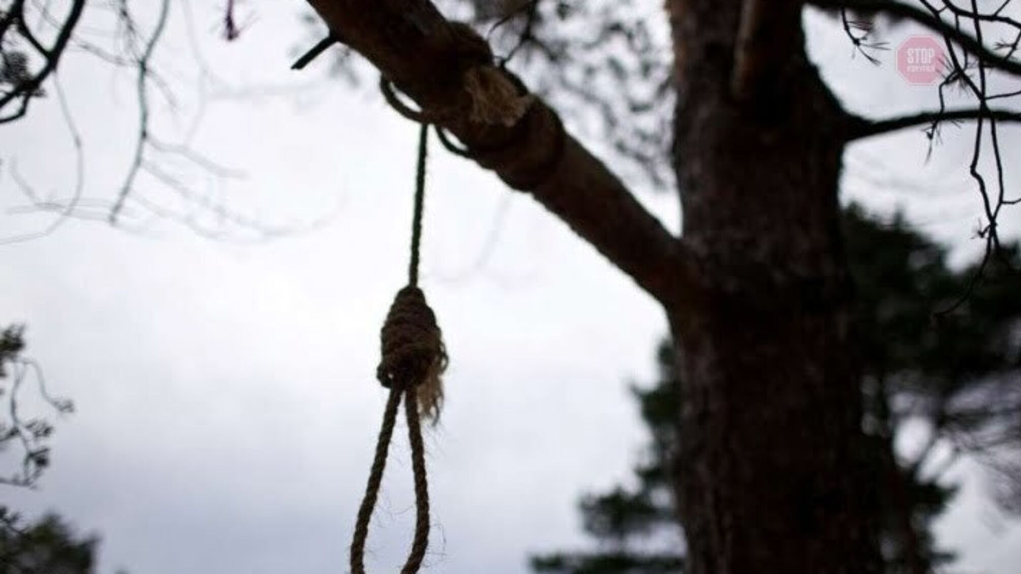 Тіло в лісосмузі: на Харківщині знайшли повішеним чоловіка