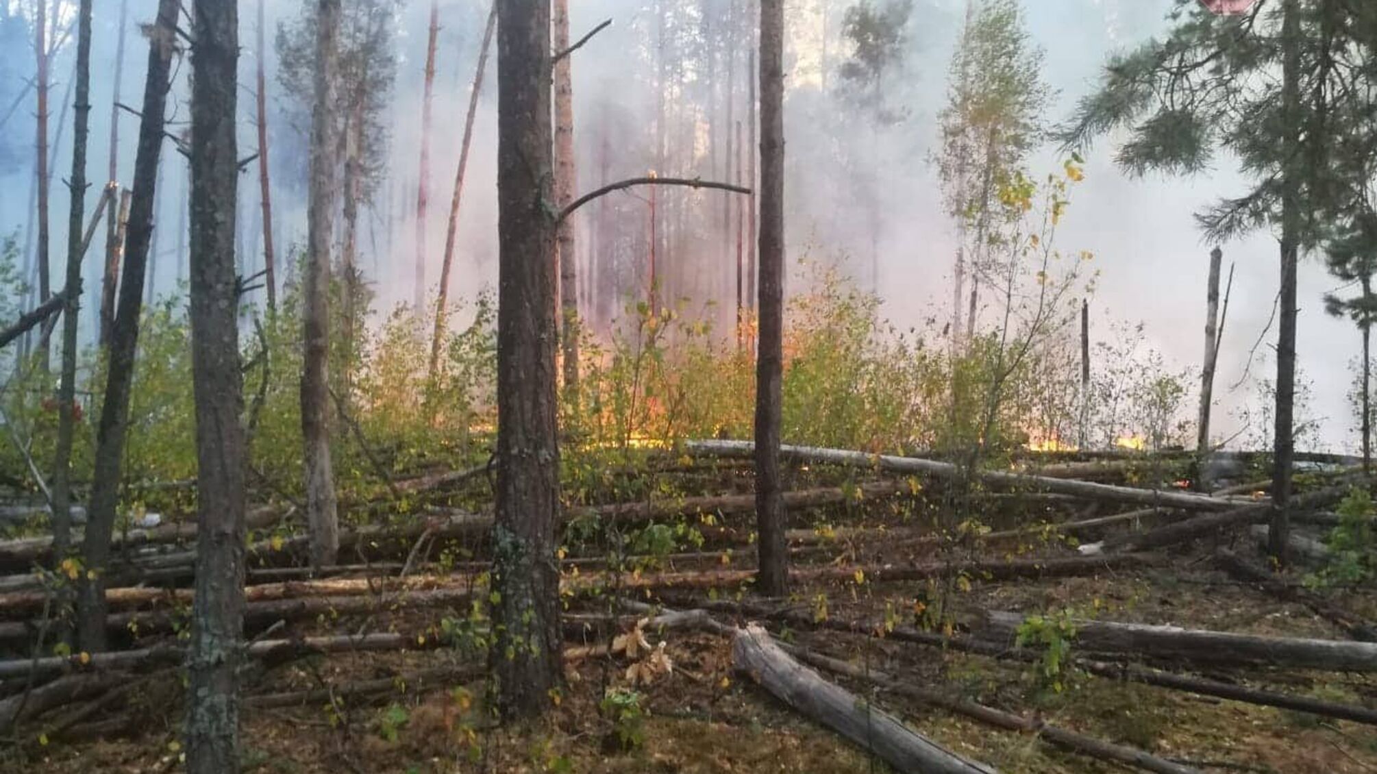 Вогняна чорнобильська зона: пожежа досі триває