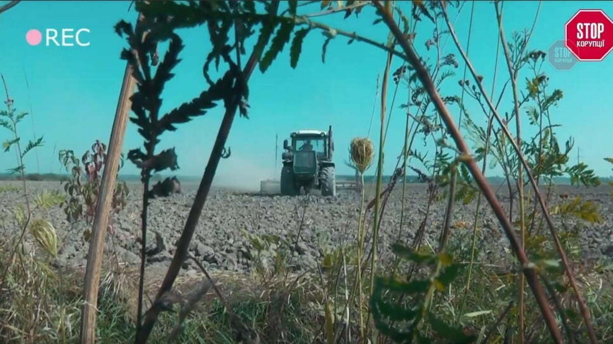 У Коломиї – рука руку миє: прикарпатські правоохоронці потурають місцевим агрорейдерам?