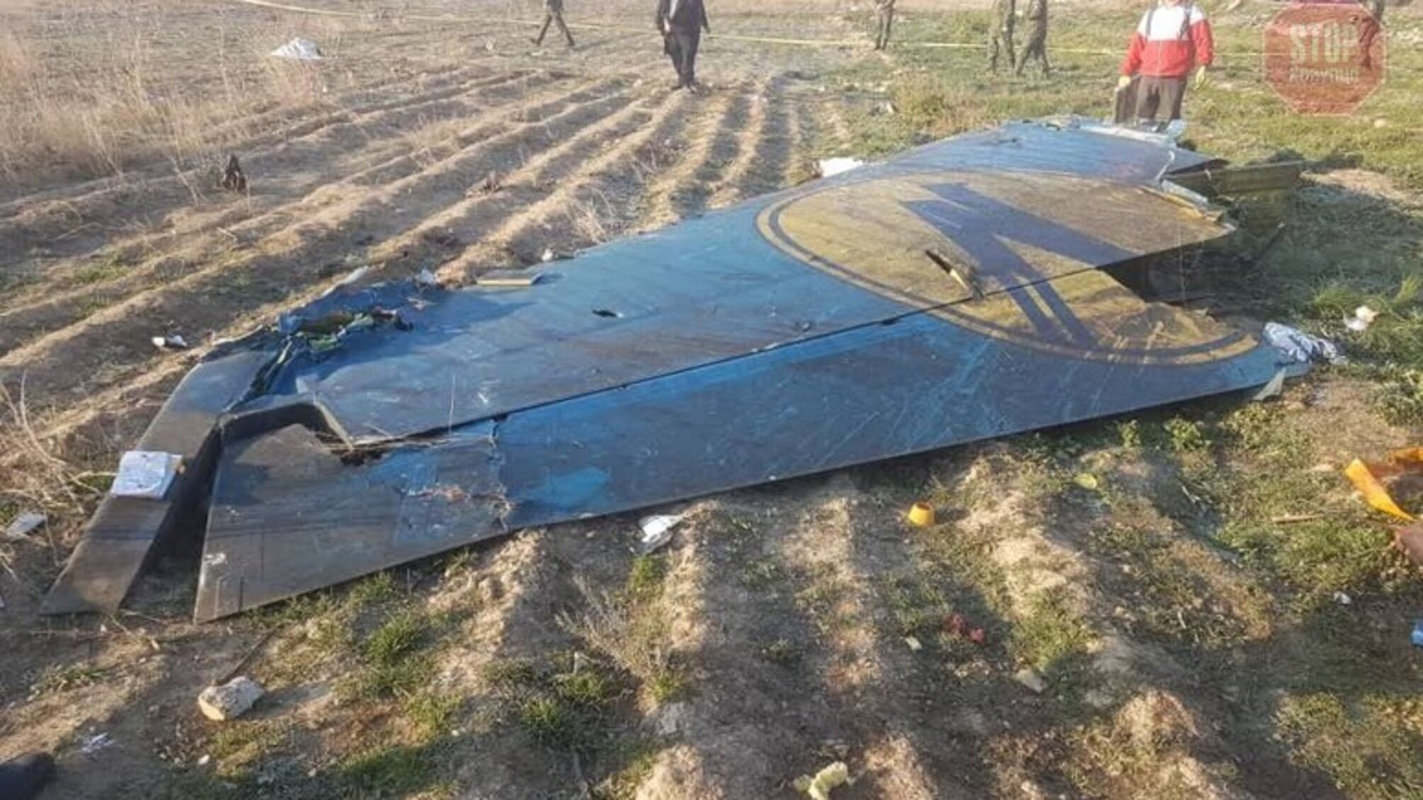 Міністерство оборони долучиться до з'ясування причин катастрофи в Ірані