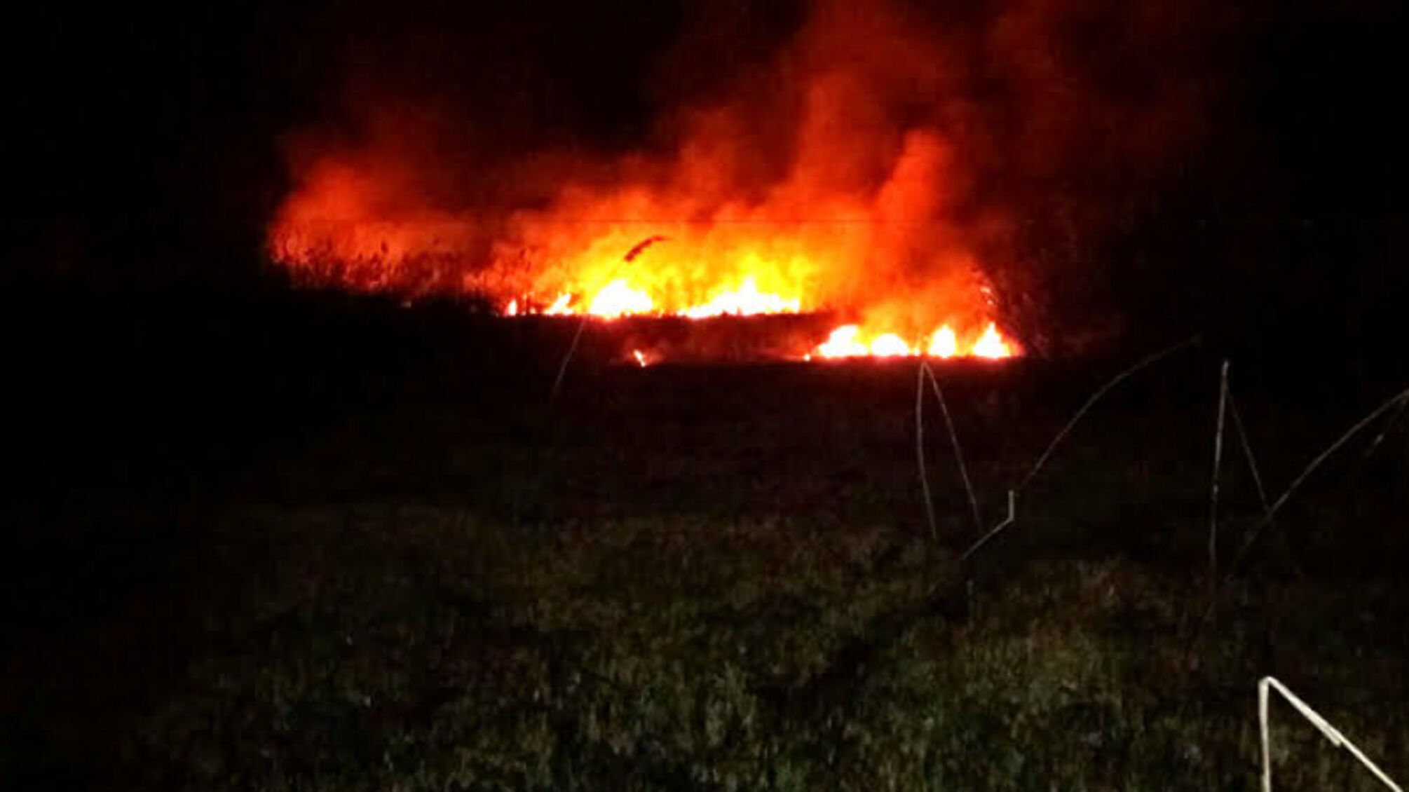 Полтавська область: рятувальники ліквідували пожежу сухої трави