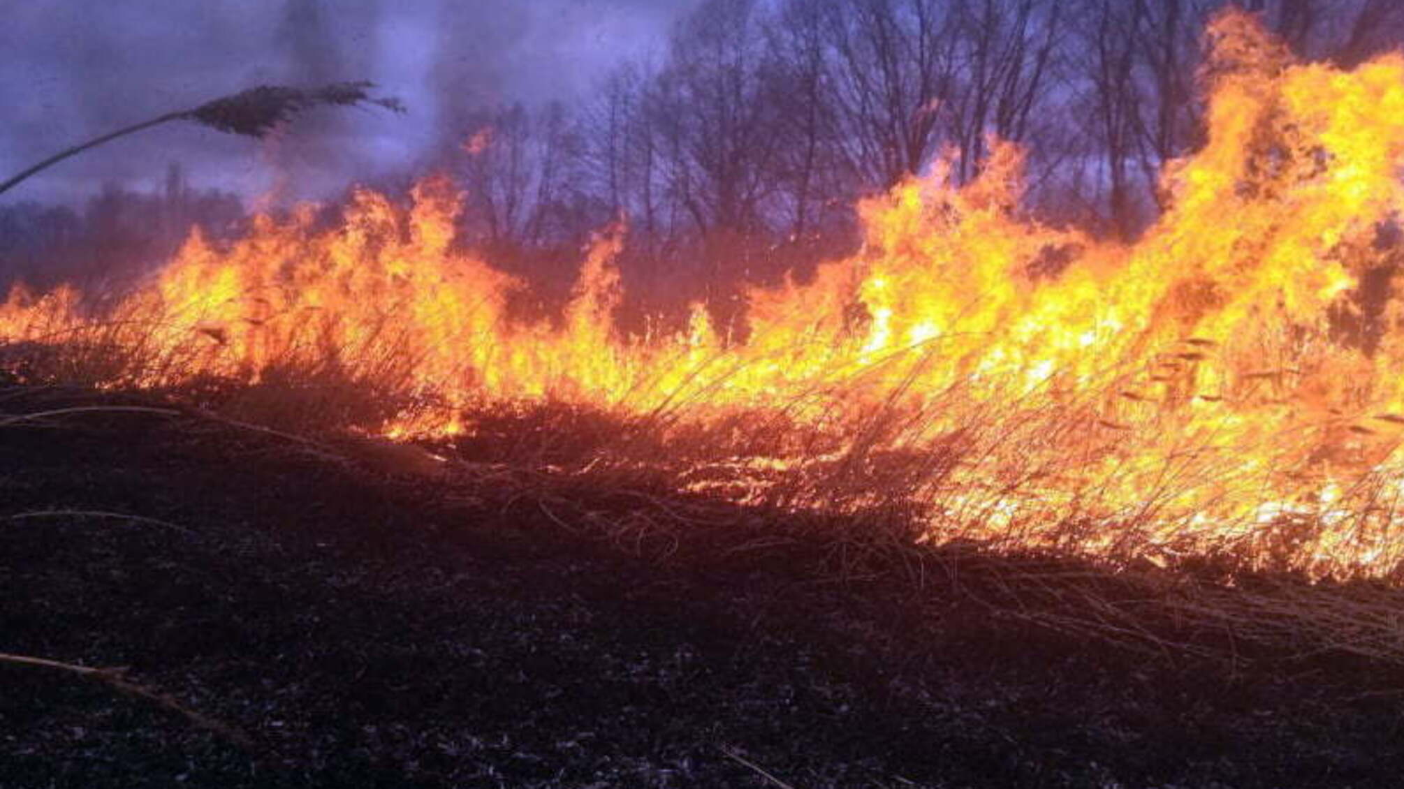 Хмельницька область: вогнеборці приборкали пожежу сухої рослинності на відкритій території