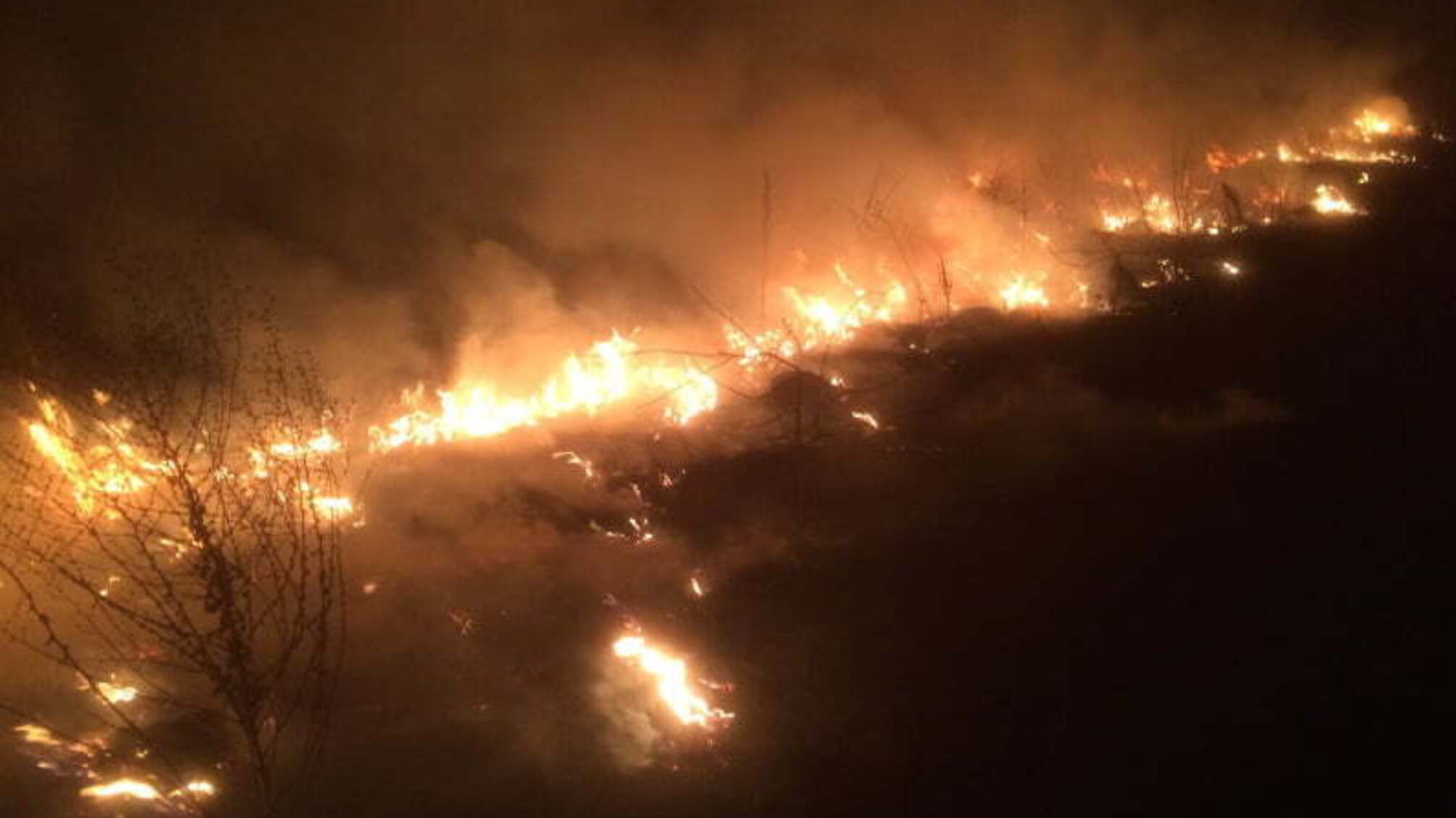 Житомирська область: за добу вогнеборці ліквідували 2 пожежі сухої рослинності