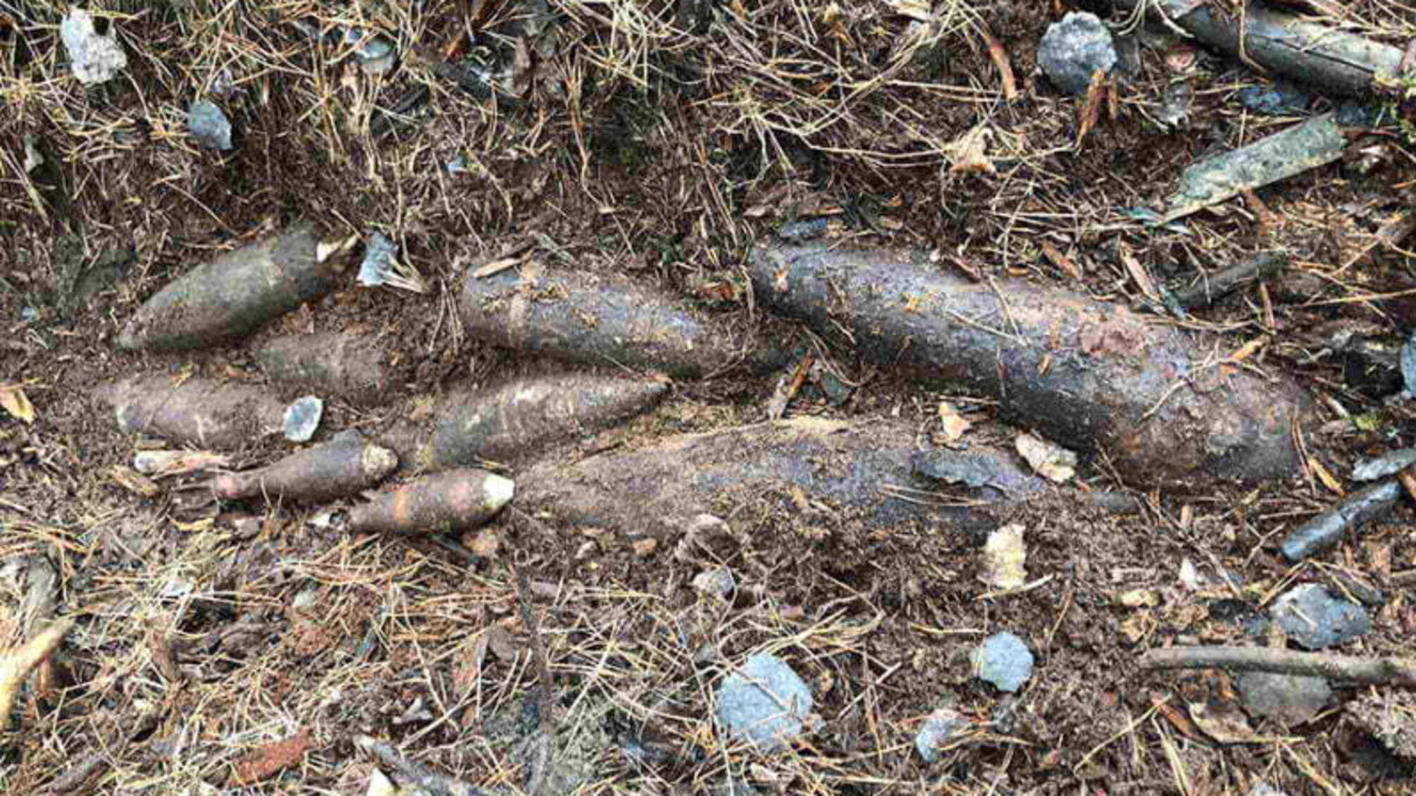 Полтавська область: піротехніки знищили 13 застарілих боєприпасів