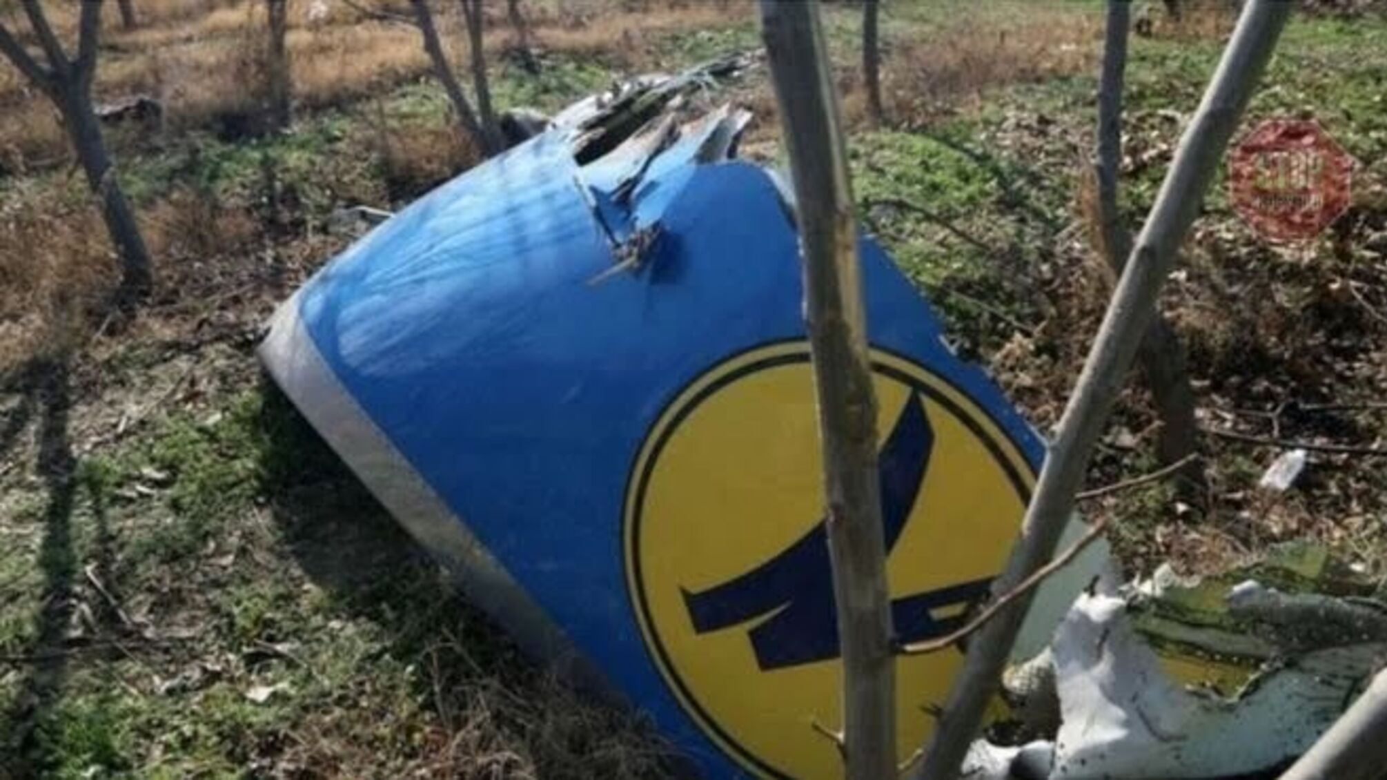ЗМІ дізналися, чи розірве Україна дипвідносини з Іраном після катастрофи літака Boeing-737