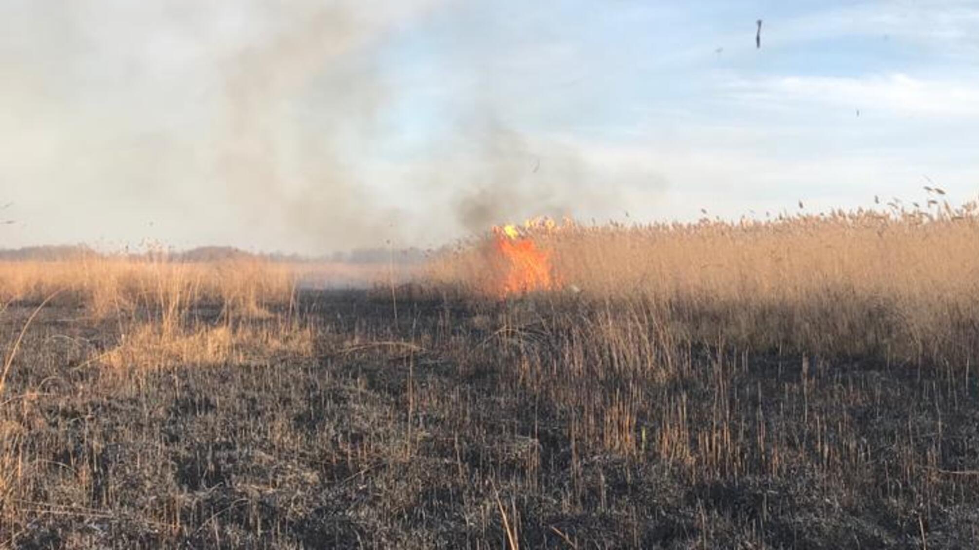Херсонщина: минулої доби в області сталось 7 пожеж в екосистемах