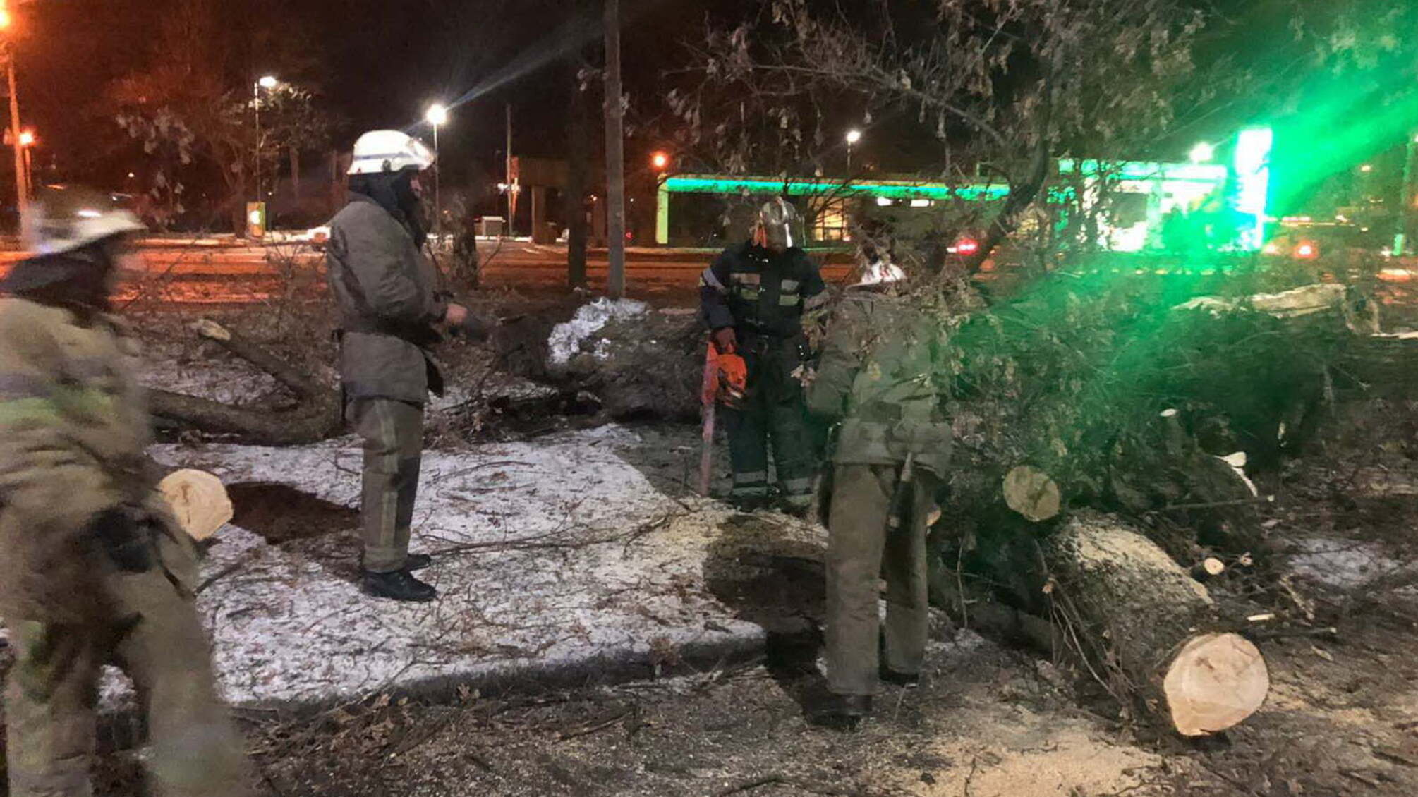 У Харкові рятувальники звільнили жінку, яку затиснуло поваленим деревом в автомобілі
