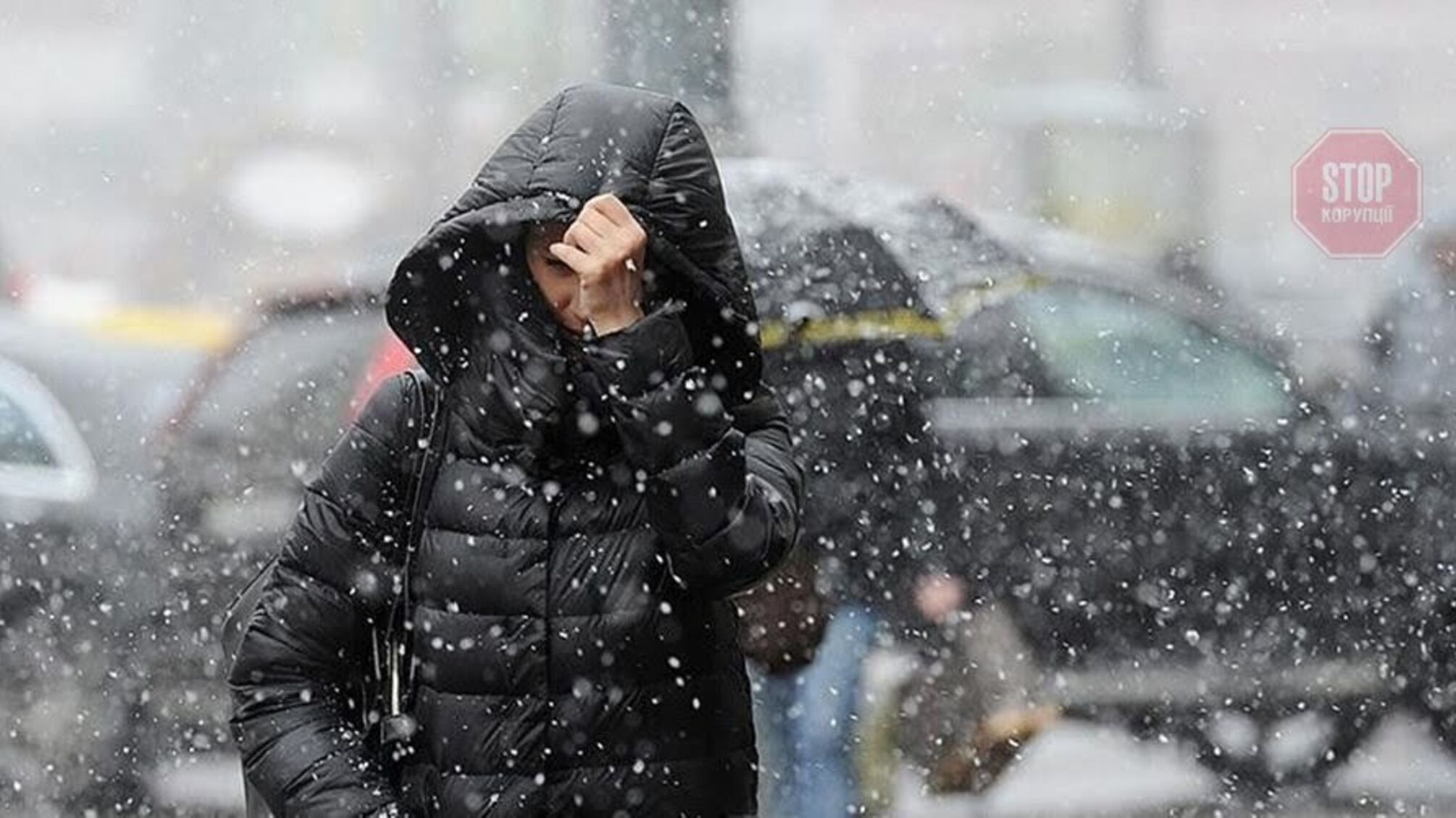 В Україні очікується мокрий сніг та сильний вітер
