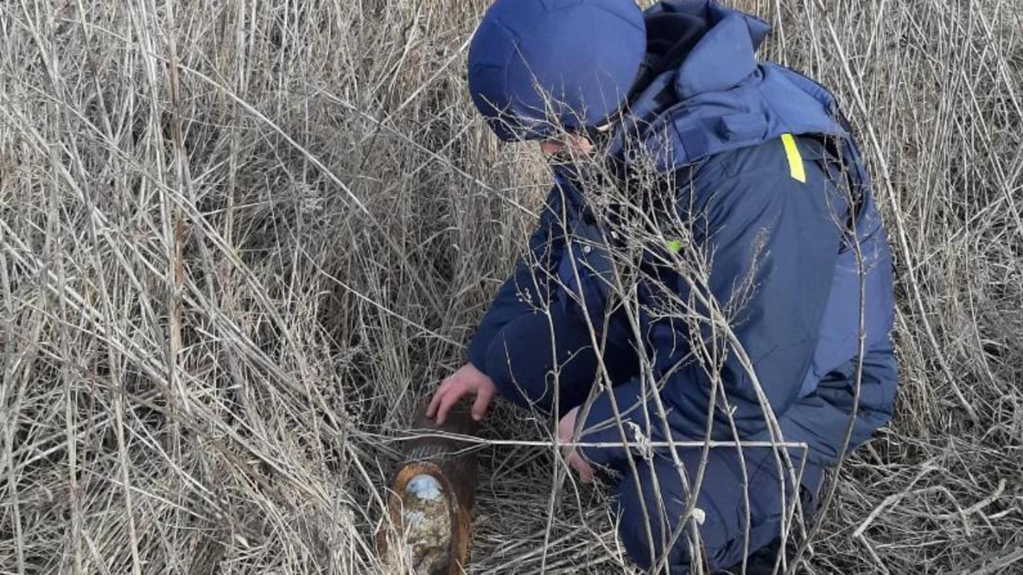 На Донеччині піротехніки ДСНС вилучили вибухонебезпечний предмет у місці проведення ремонтно-відновлювальних робіт ліній електропередач