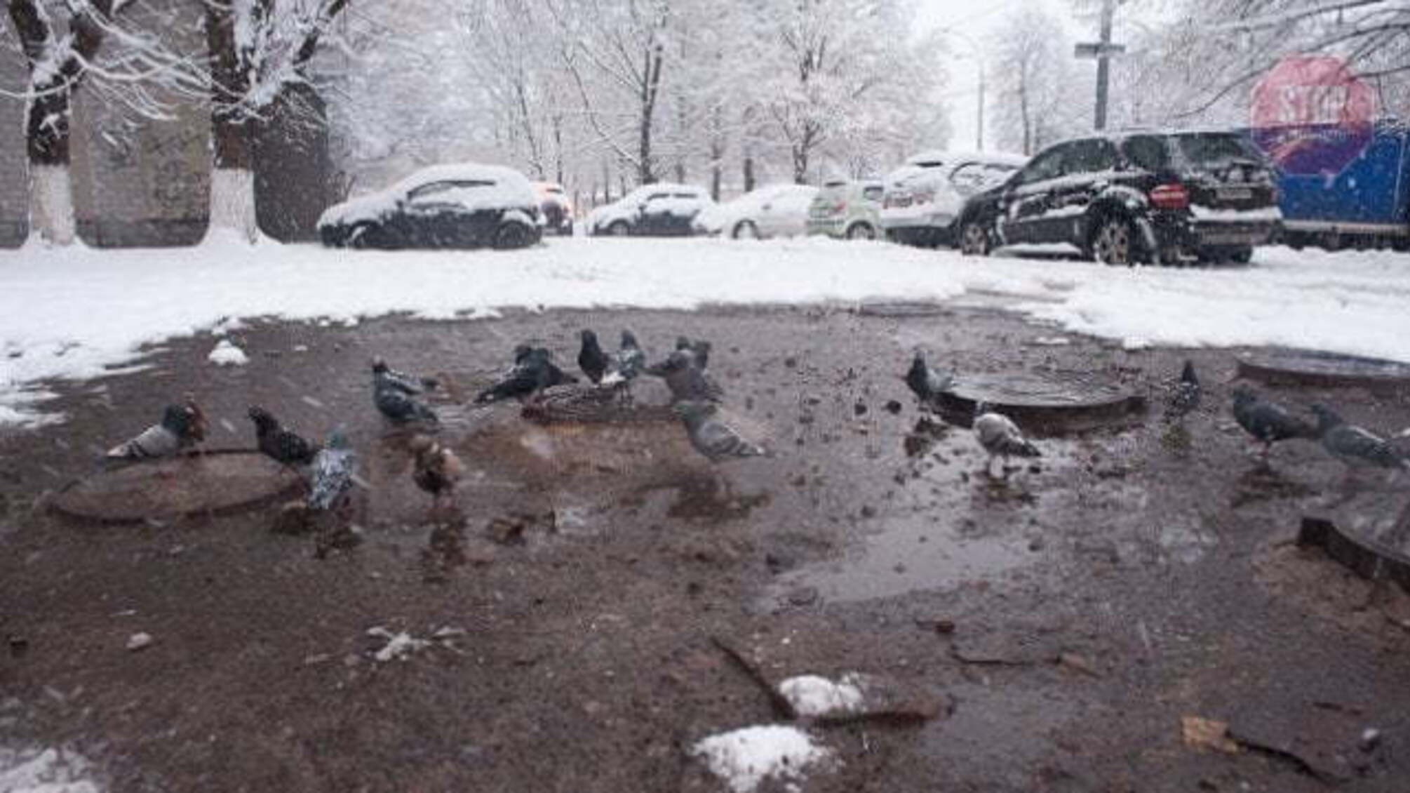 'Знімайте пуховики', – прогноз погоди по Україні на початок лютого