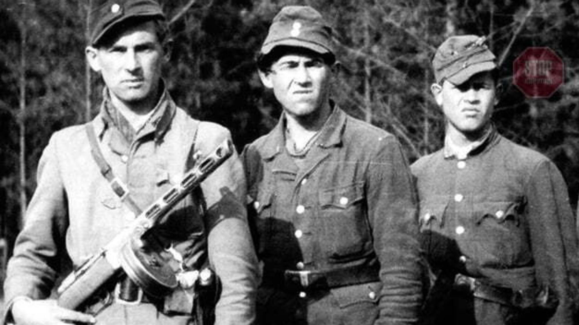 Вандали у Польщі розбили пам'ятну дошку на могилі воїнам УПА (фото)