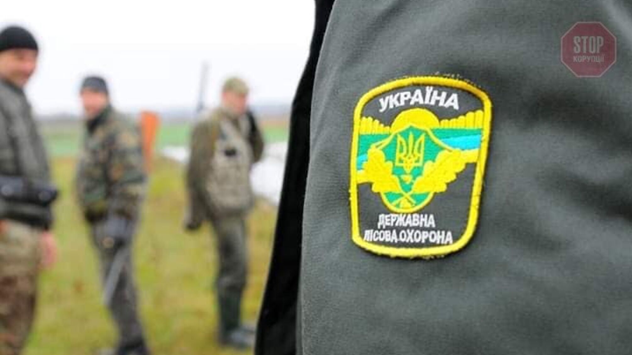 На Херсонщині 'чорні' лісоруби напали на працівників лісоохорони, є загиблий